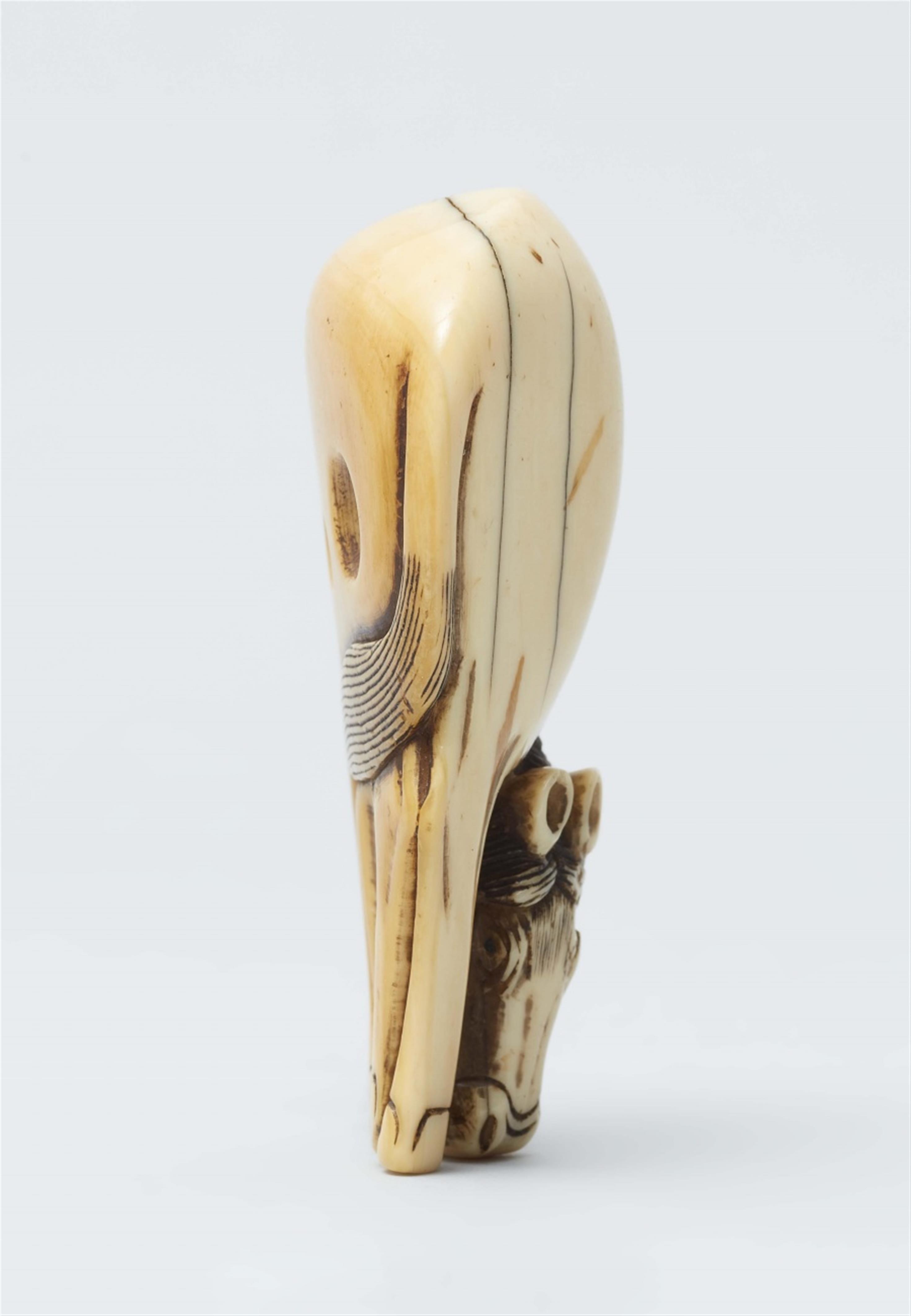 An ivory netsuke of a grazing horse. First half 19th century - image-2