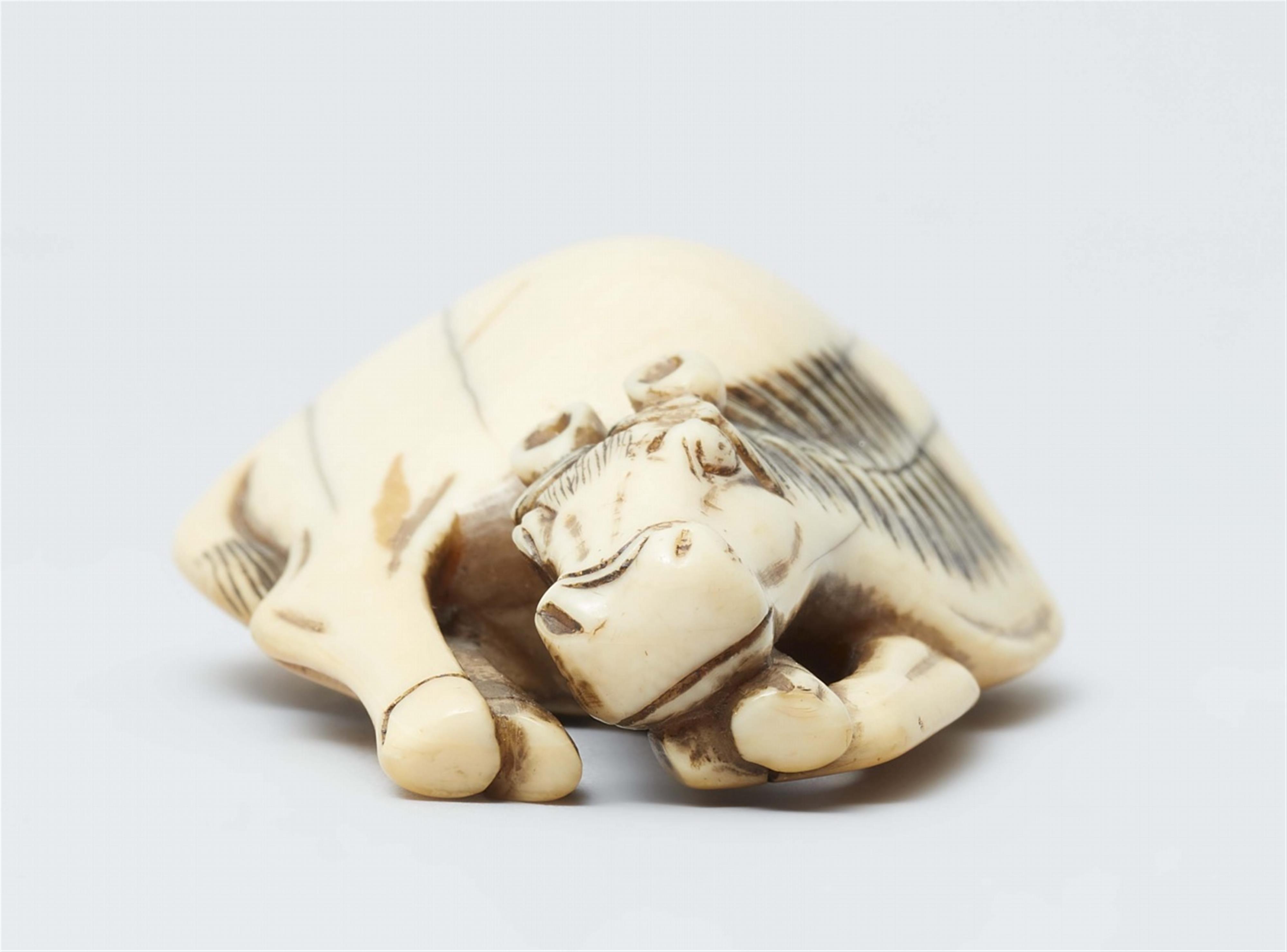 An ivory netsuke of a grazing horse. First half 19th century - image-5