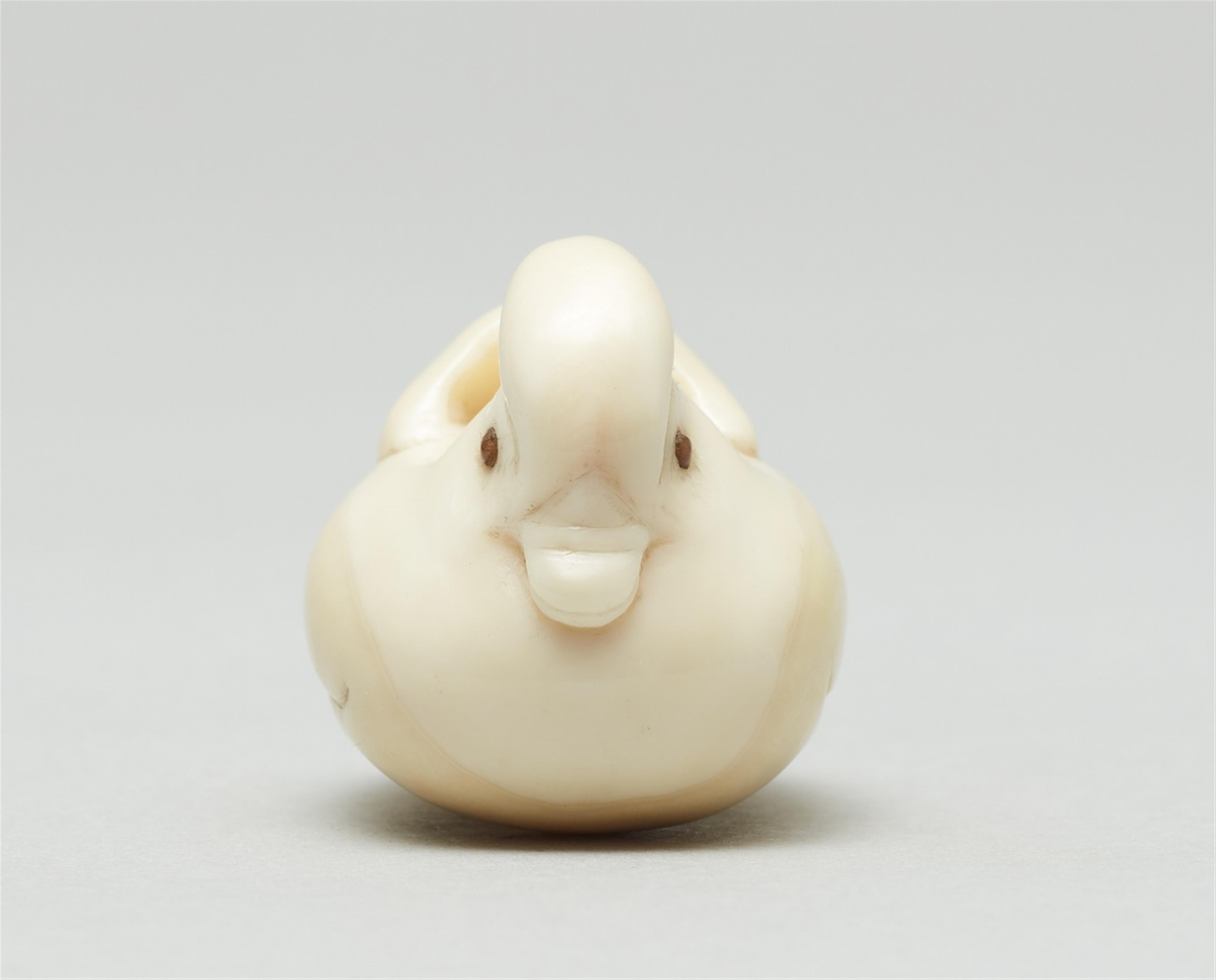 A marine ivory netsuke of a mandarin duck. Late 19th century - image-2