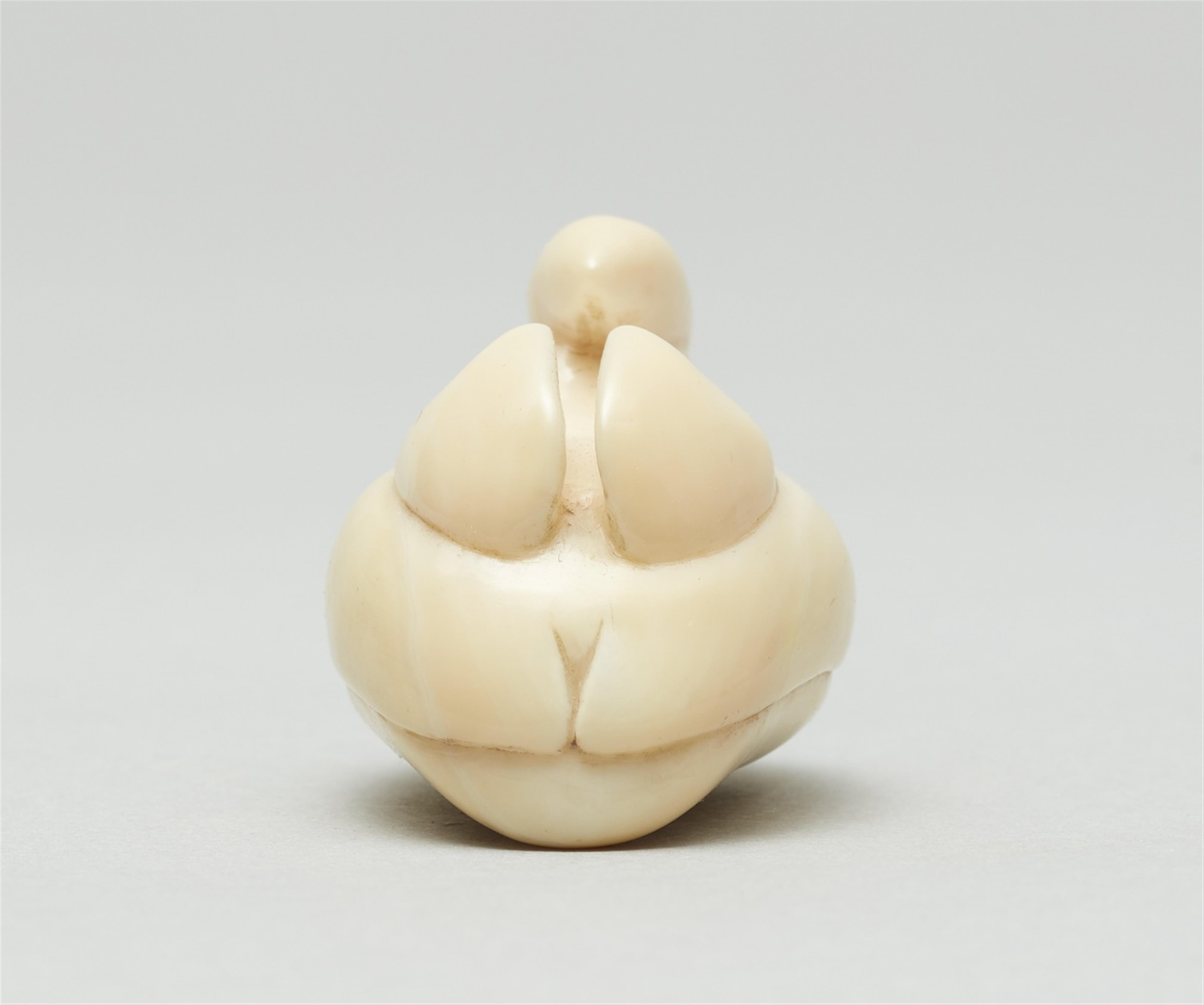 A marine ivory netsuke of a mandarin duck. Late 19th century - image-4