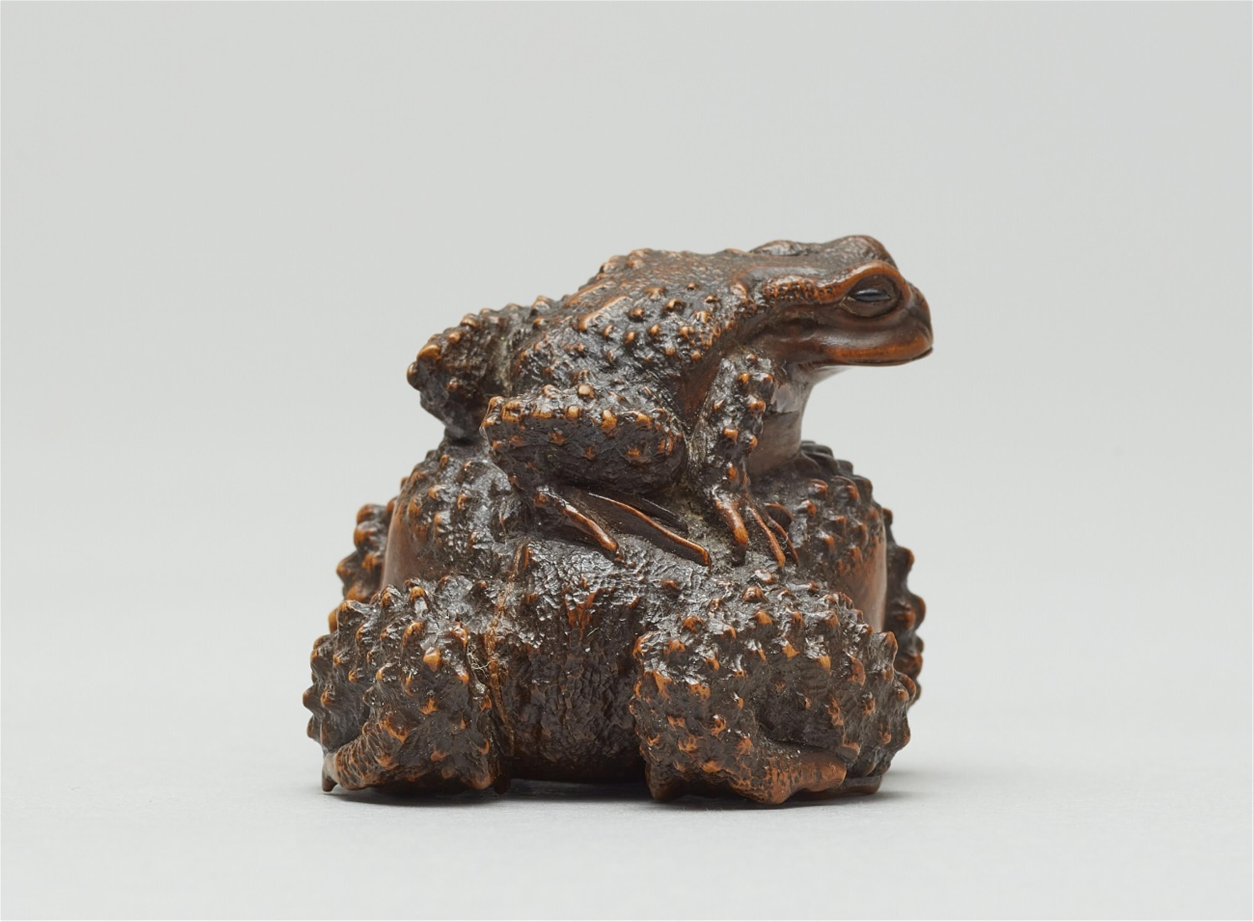 A boxwood okimono netsuke of a toad with young. Early 20th century - image-4