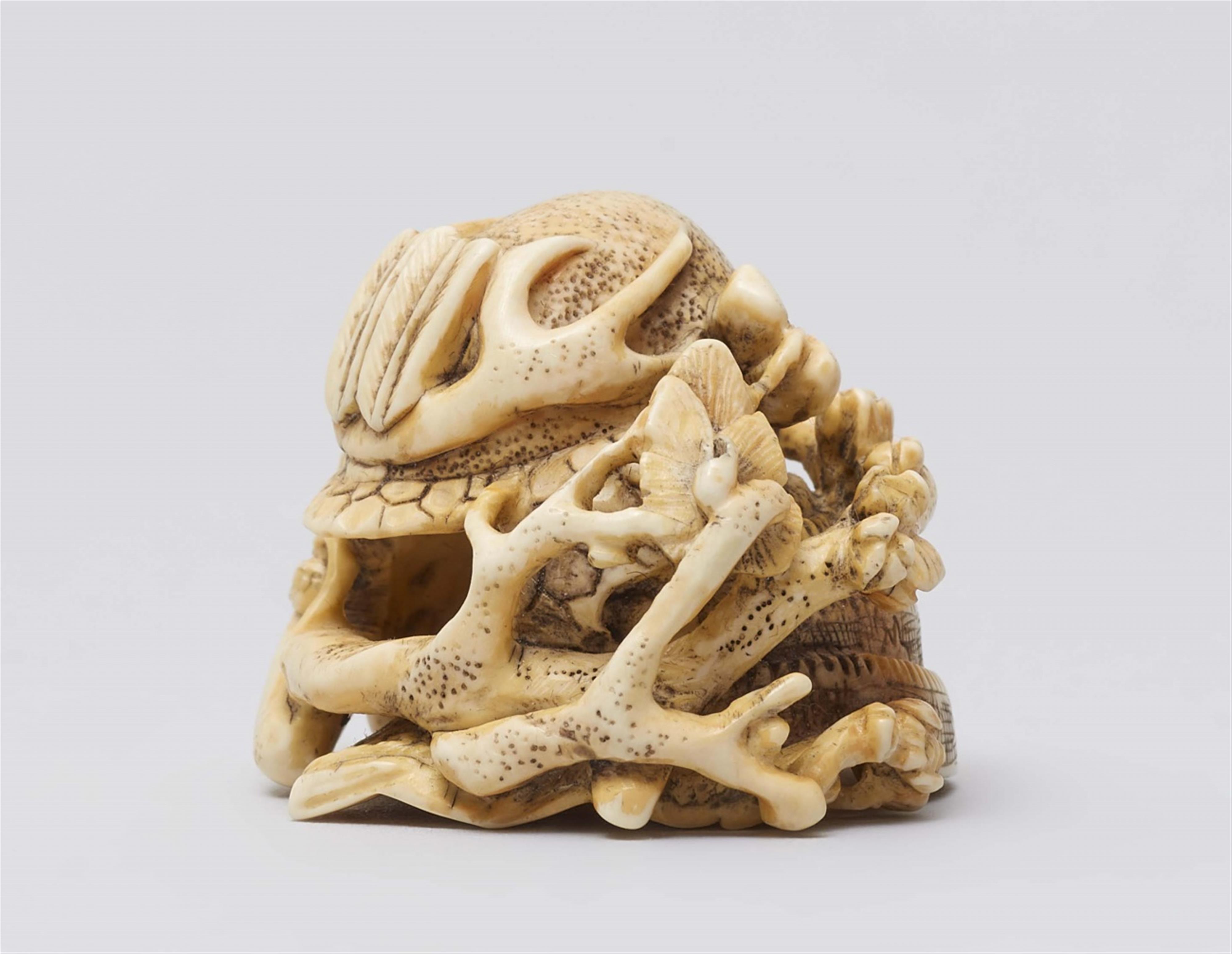 An ivory netsuke of a kabuto on plum branches. Second half 19th century - image-2