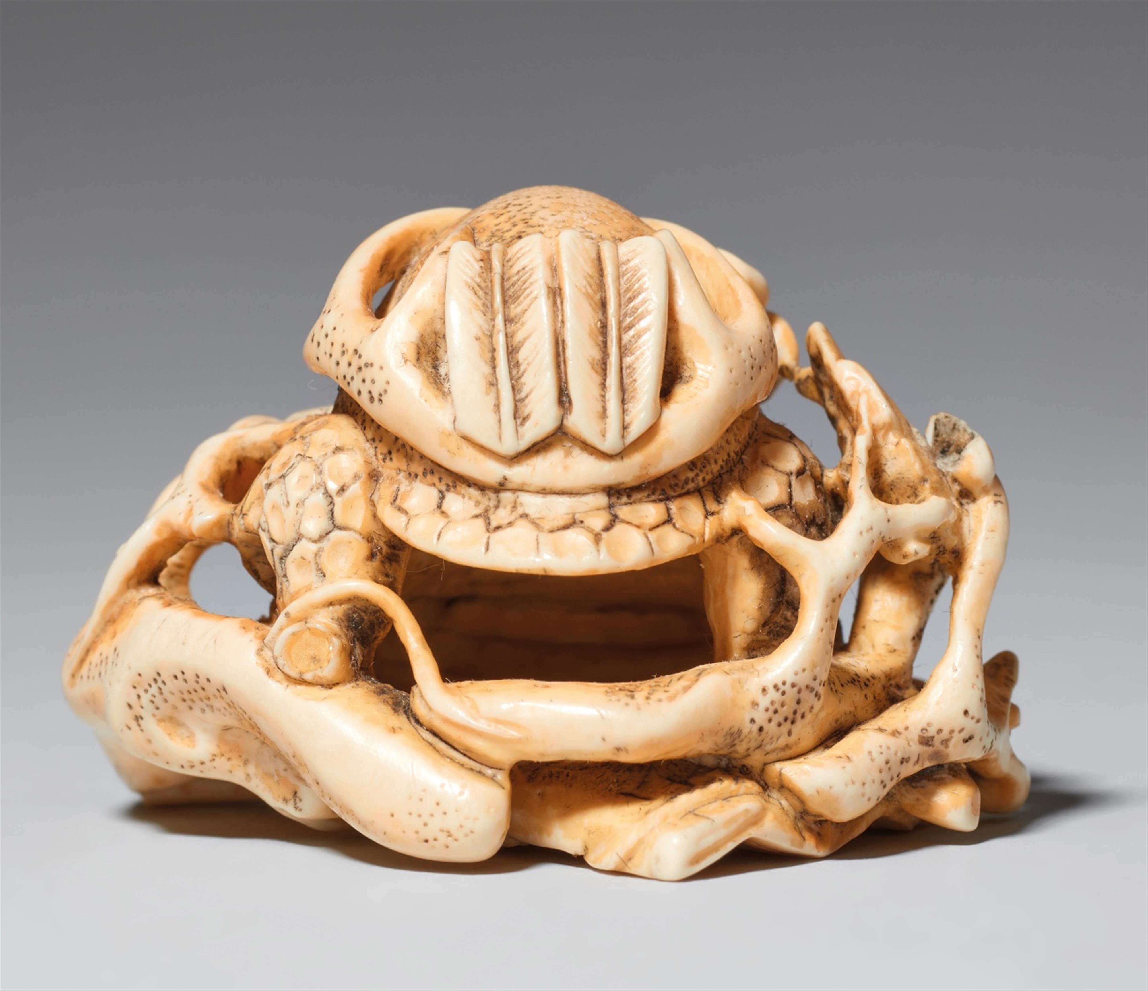 An ivory netsuke of a kabuto on plum branches. Second half 19th century - image-1