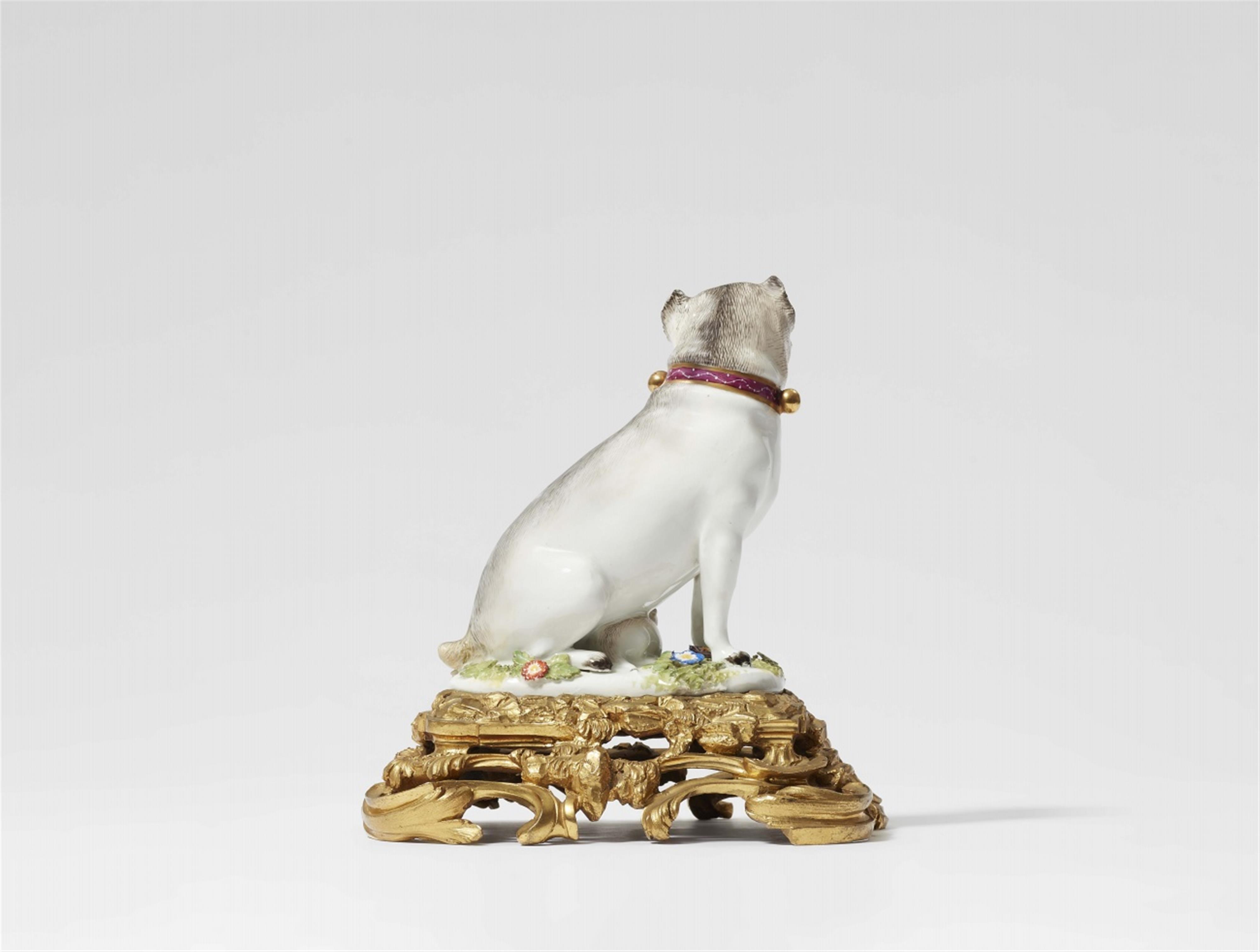 A Meissen porcelain model of a pug dog and pup - image-2