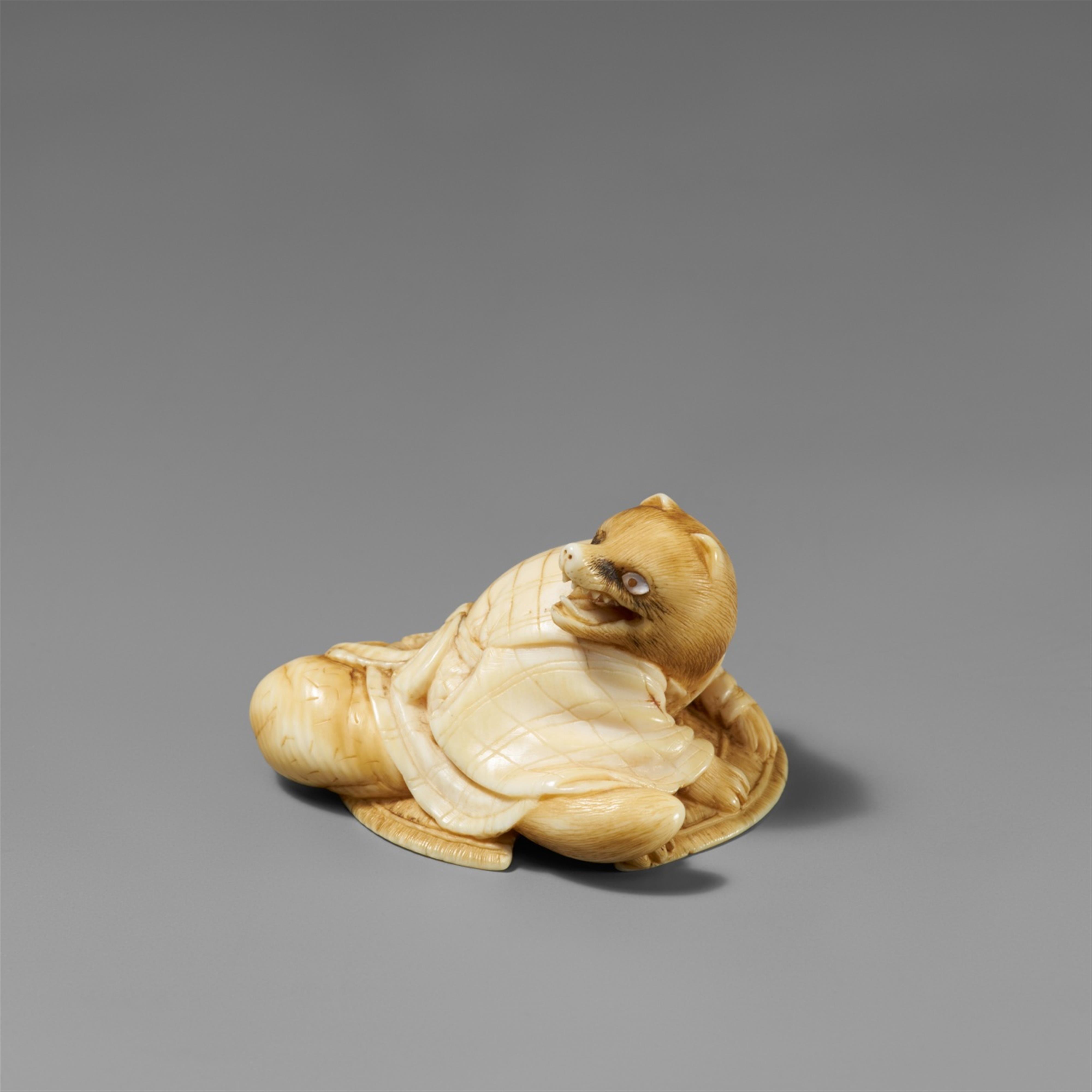 An ivory netsuke of a tanuki and a sedge hat. Second half 19th century - image-1