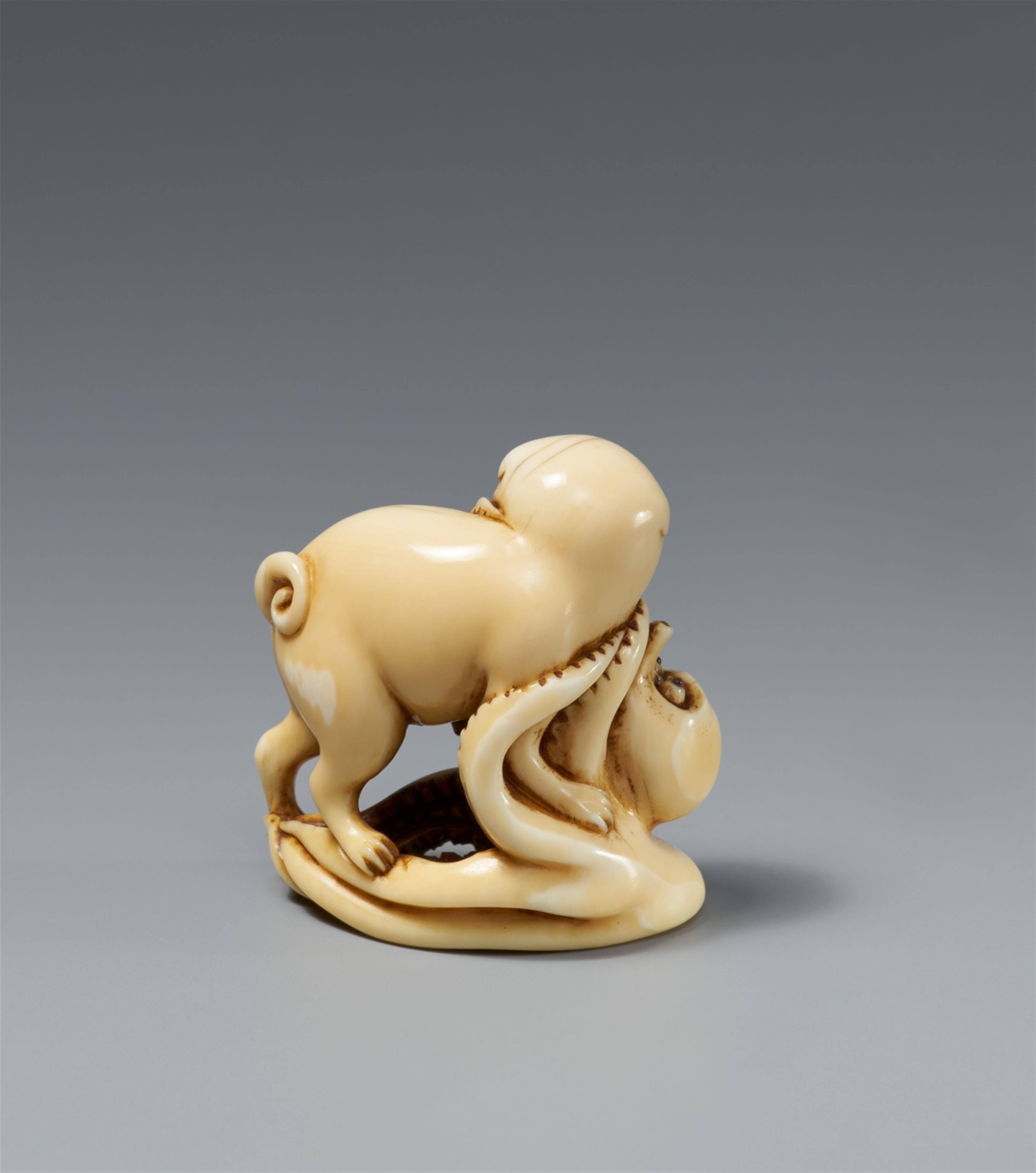 An ivory netsuke of a dog and an octopus. 19th century - image-2