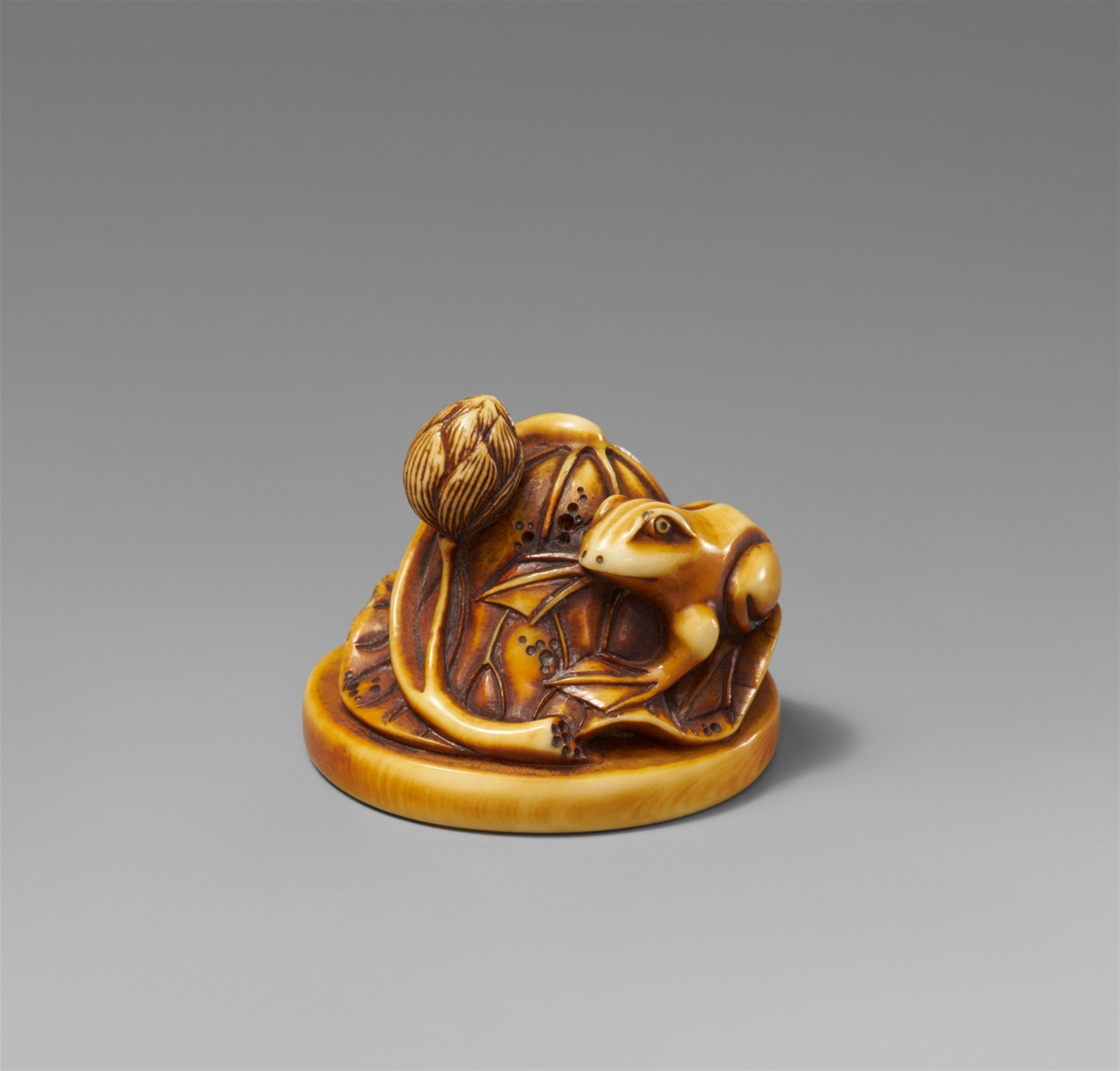 A stained ivory netsuke of a frog and a lotus leaf. Probably Rensai. 19th century - image-1