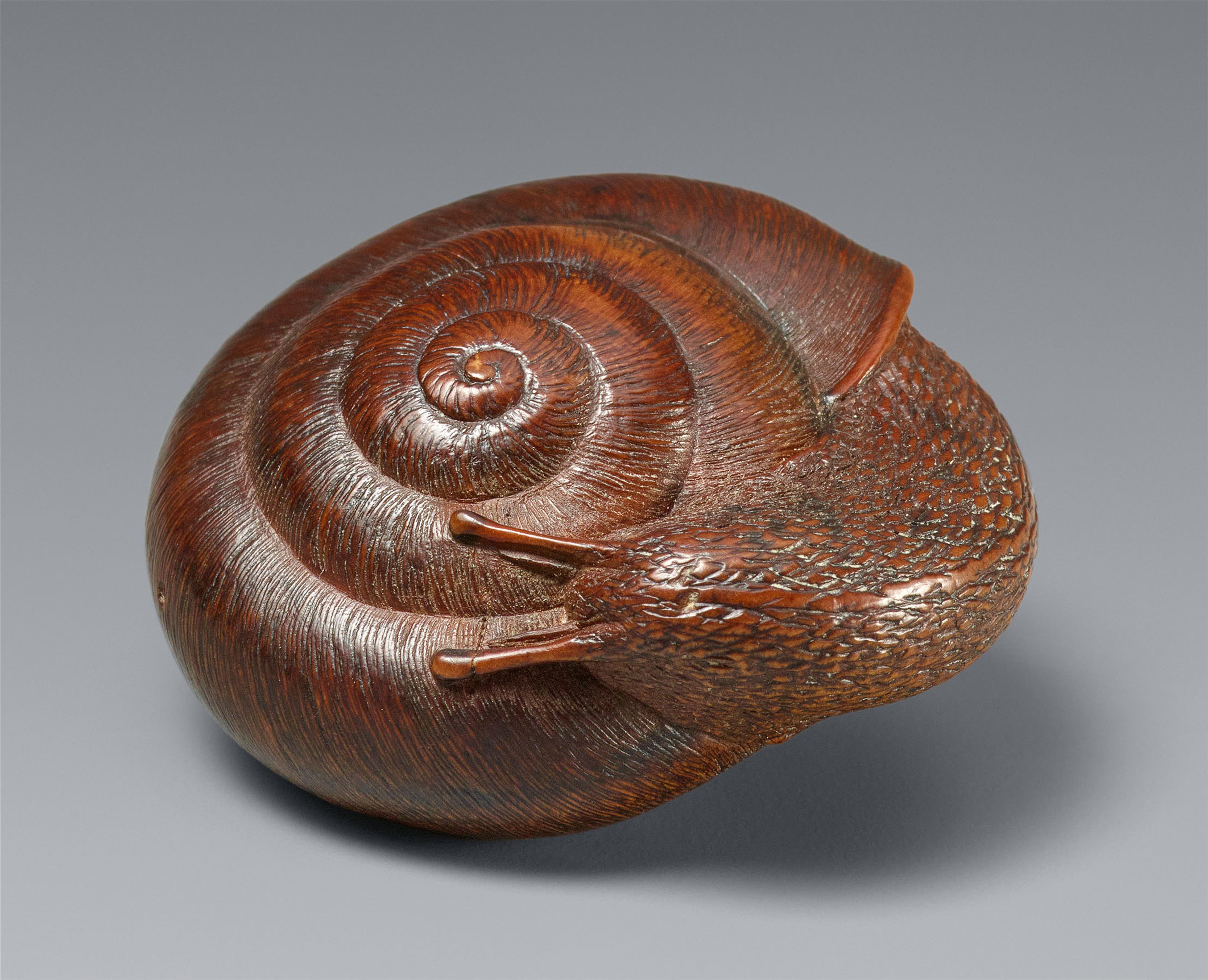 A boxwood netsuke of a snail. Gifu. Mid-19th century - image-1