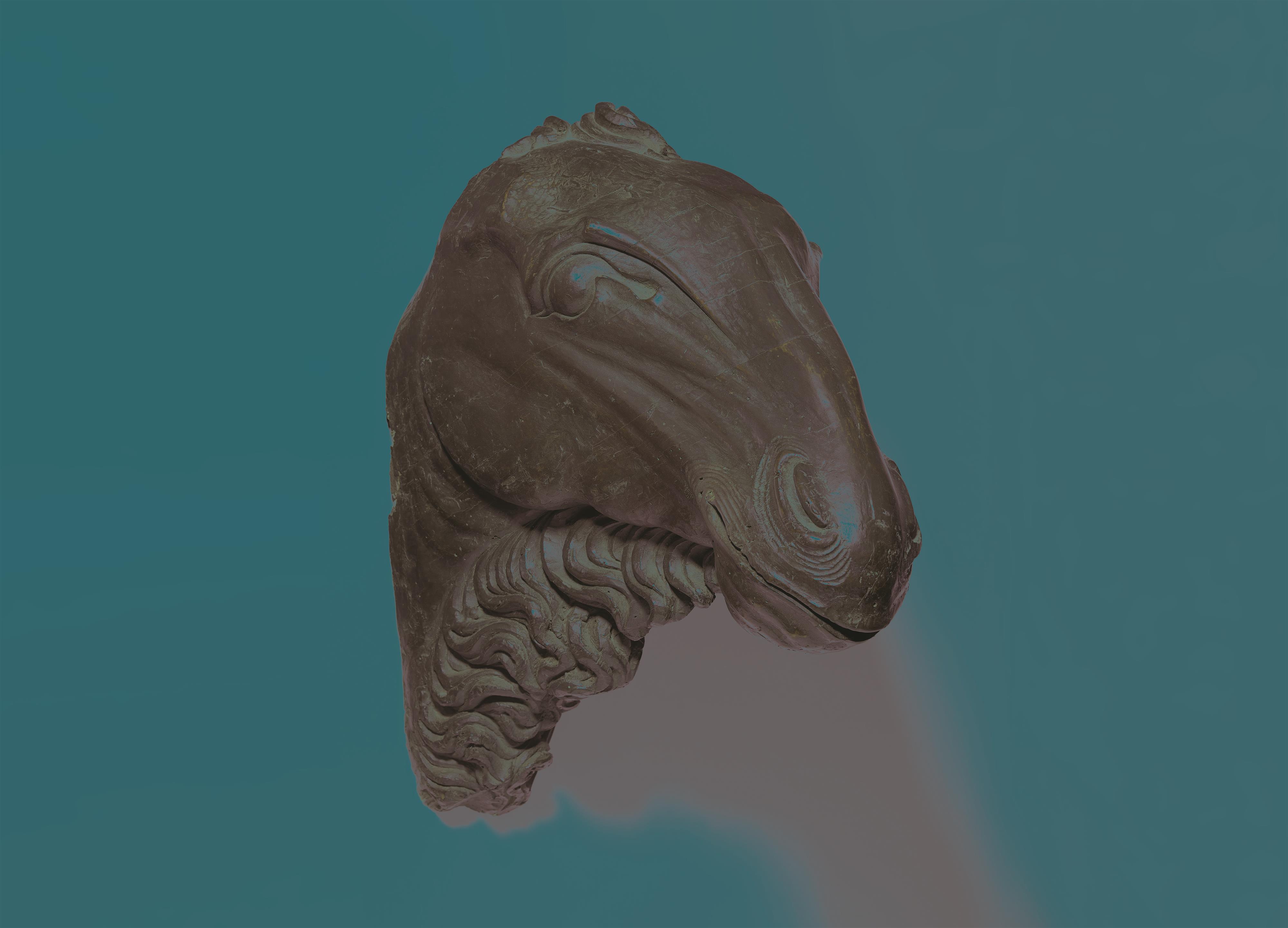 Kopf eines Kamels - image-2