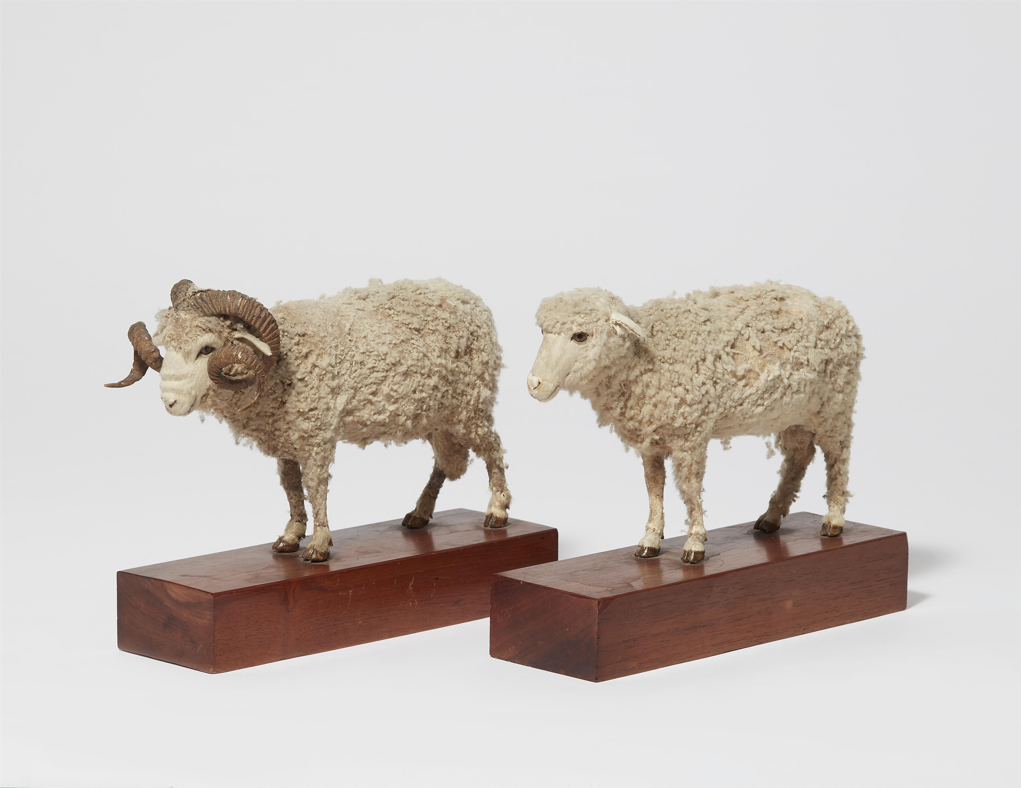 Two taxidermy miniatures of a sheep and a ram - image-1