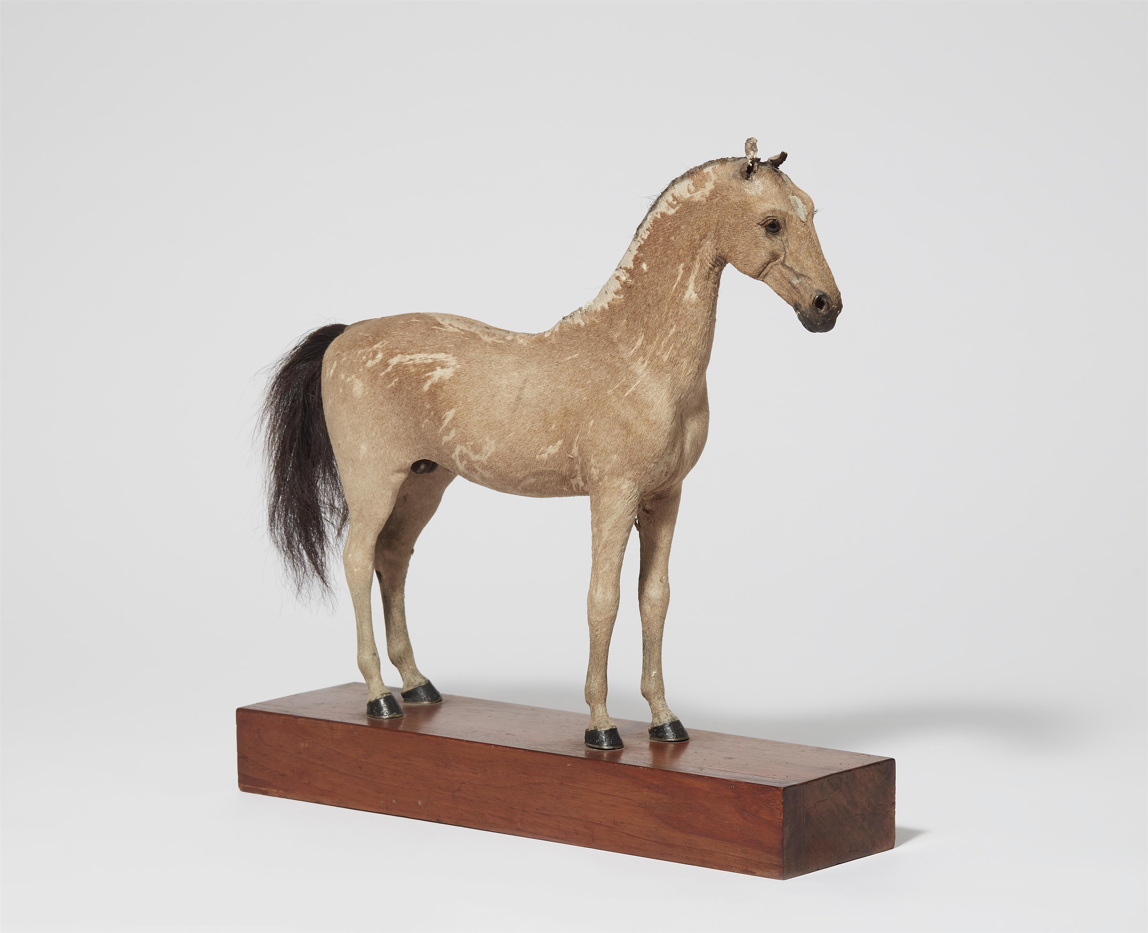 A taxidermy miniature of a horse - image-1