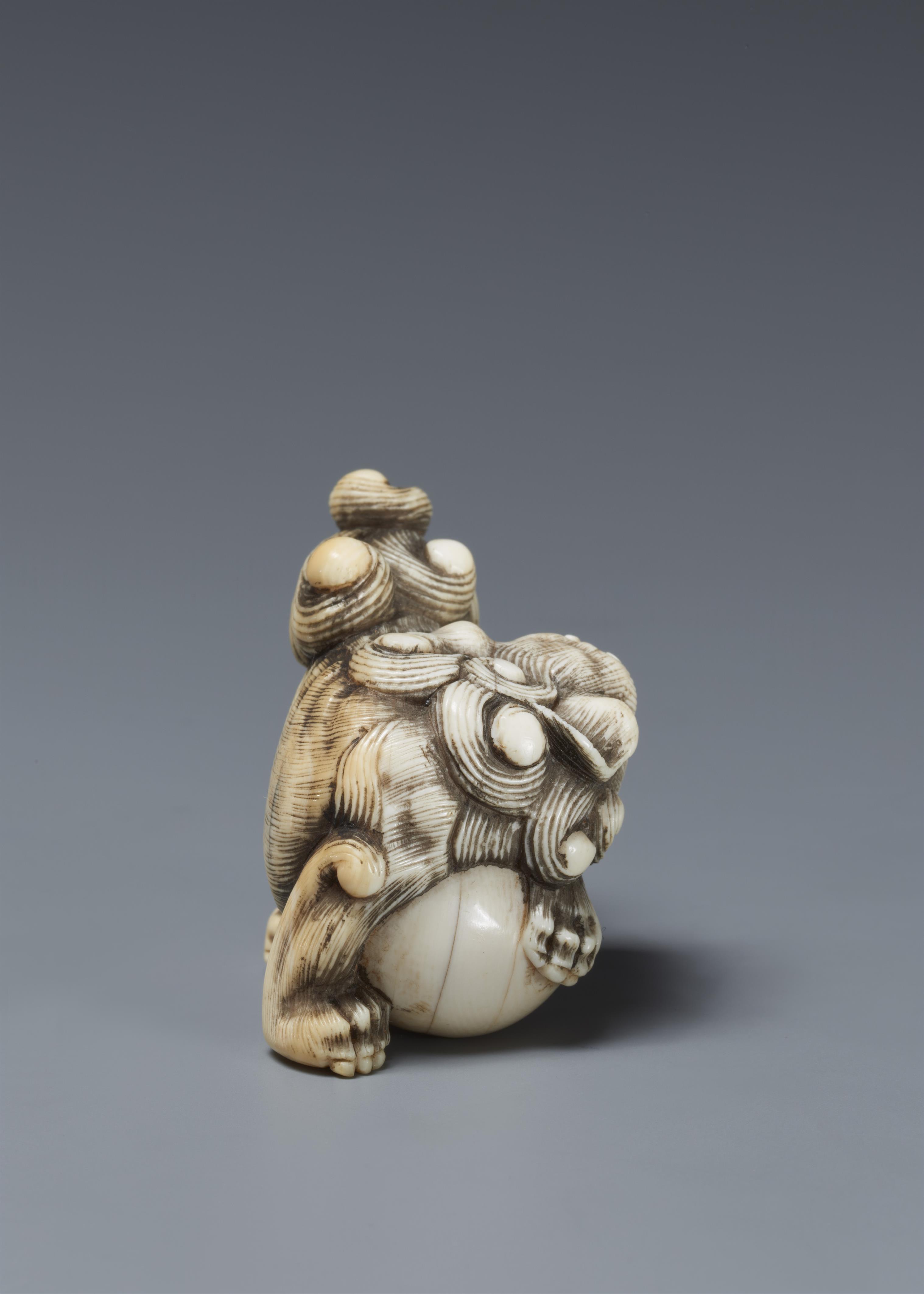 A Kyoto school ivory netsuke of a roaring shishi. Early 19th century - image-4