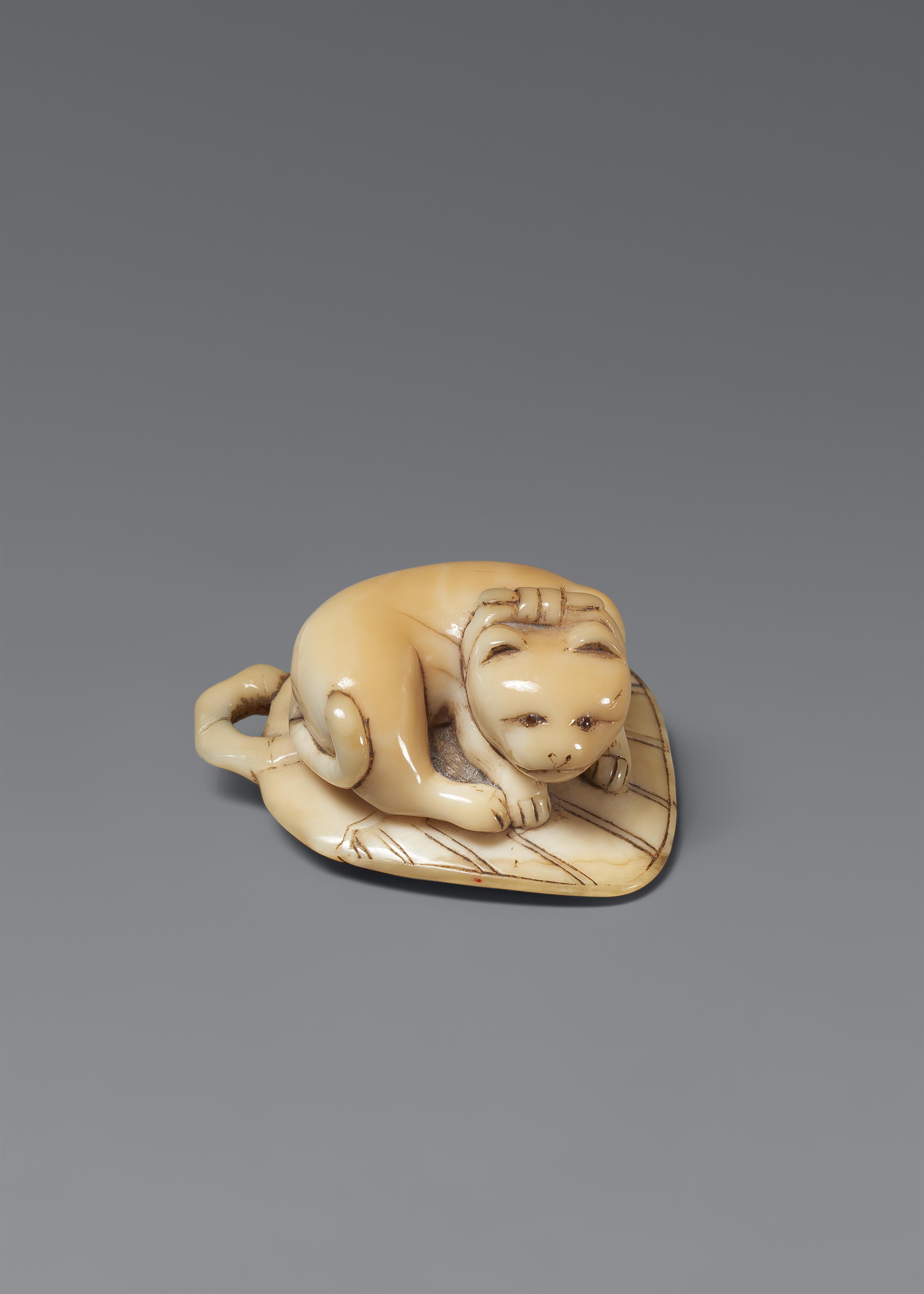 A marine ivory netsuke of a cat on a stiff fan. Around 1800 - image-1