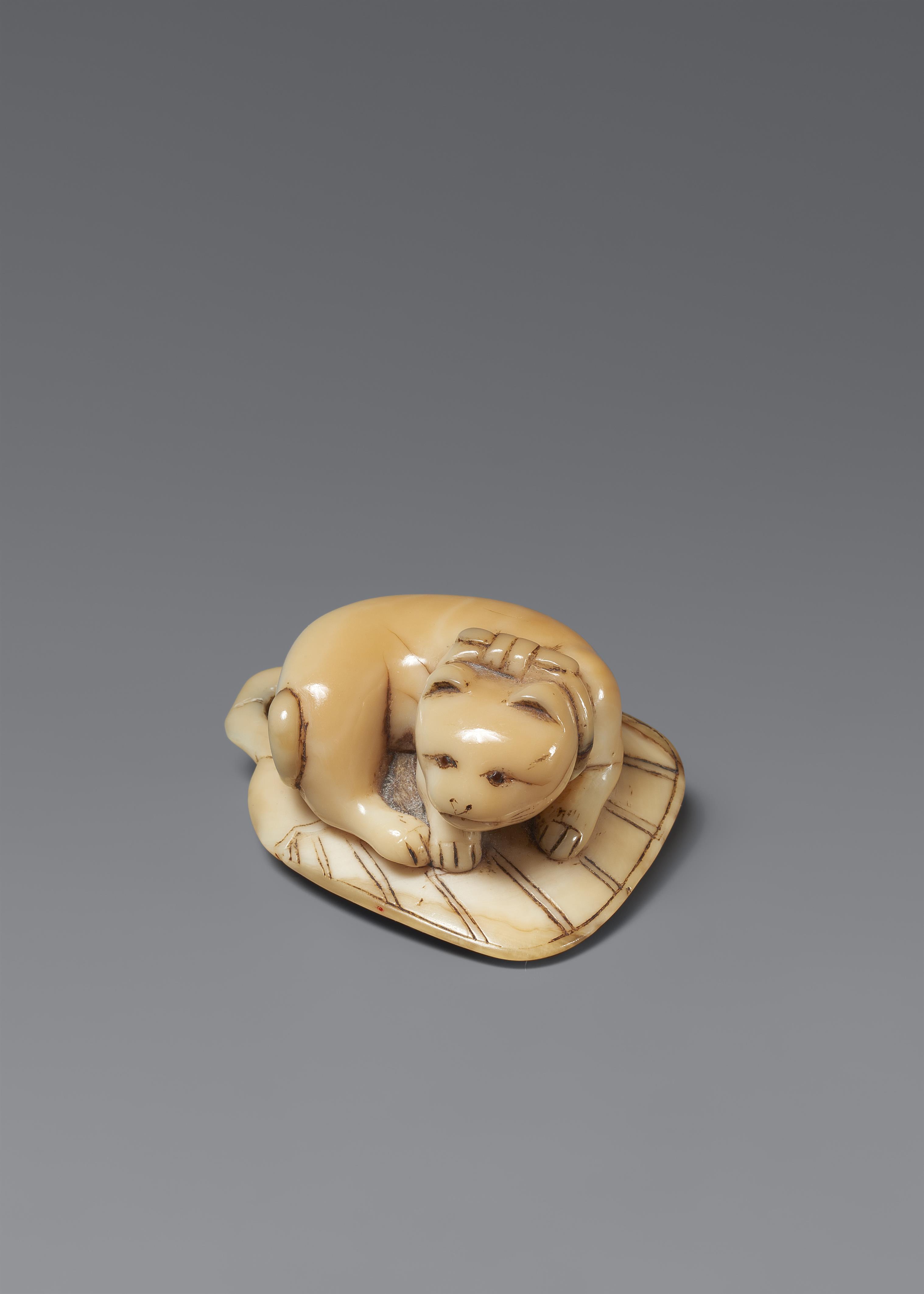 A marine ivory netsuke of a cat on a stiff fan. Around 1800 - image-2