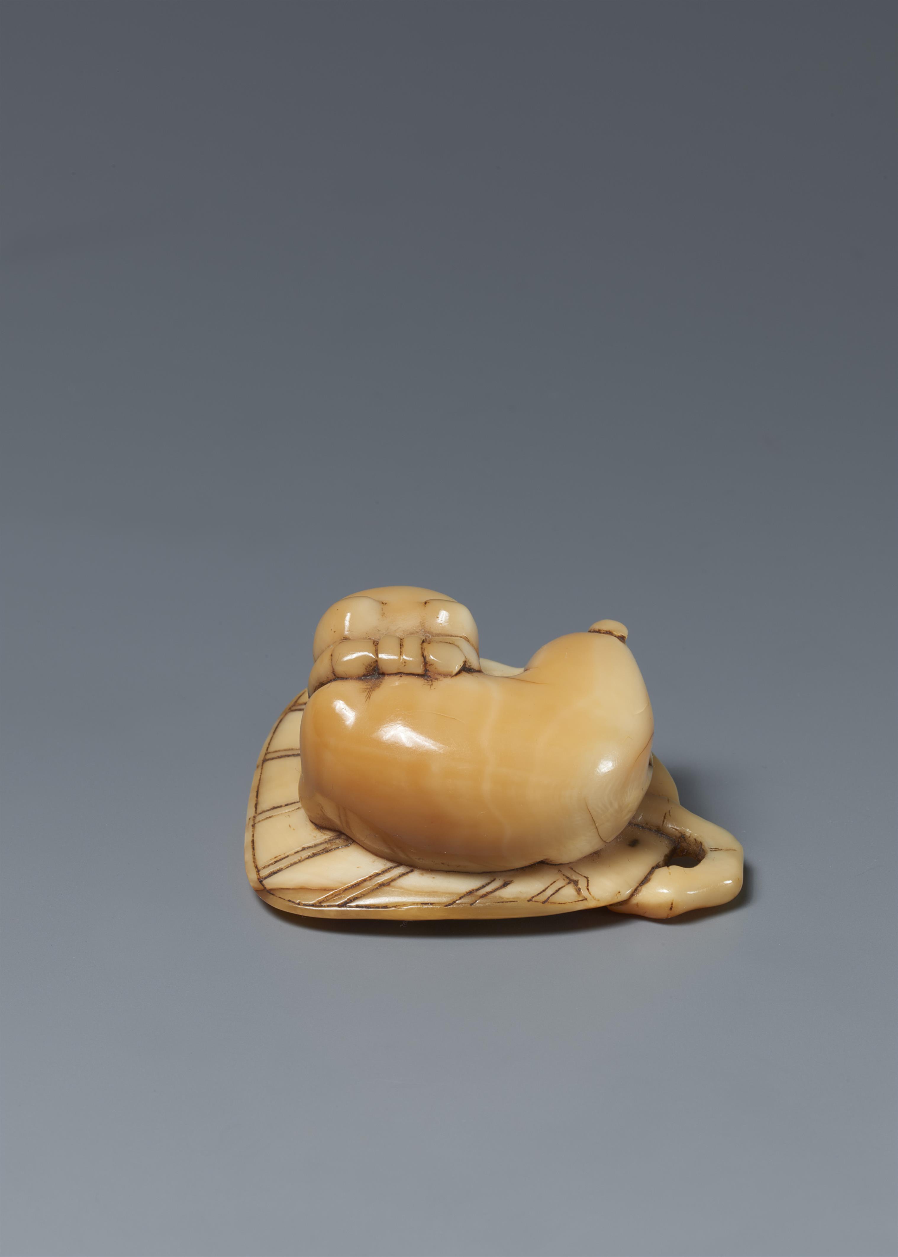 A marine ivory netsuke of a cat on a stiff fan. Around 1800 - image-3