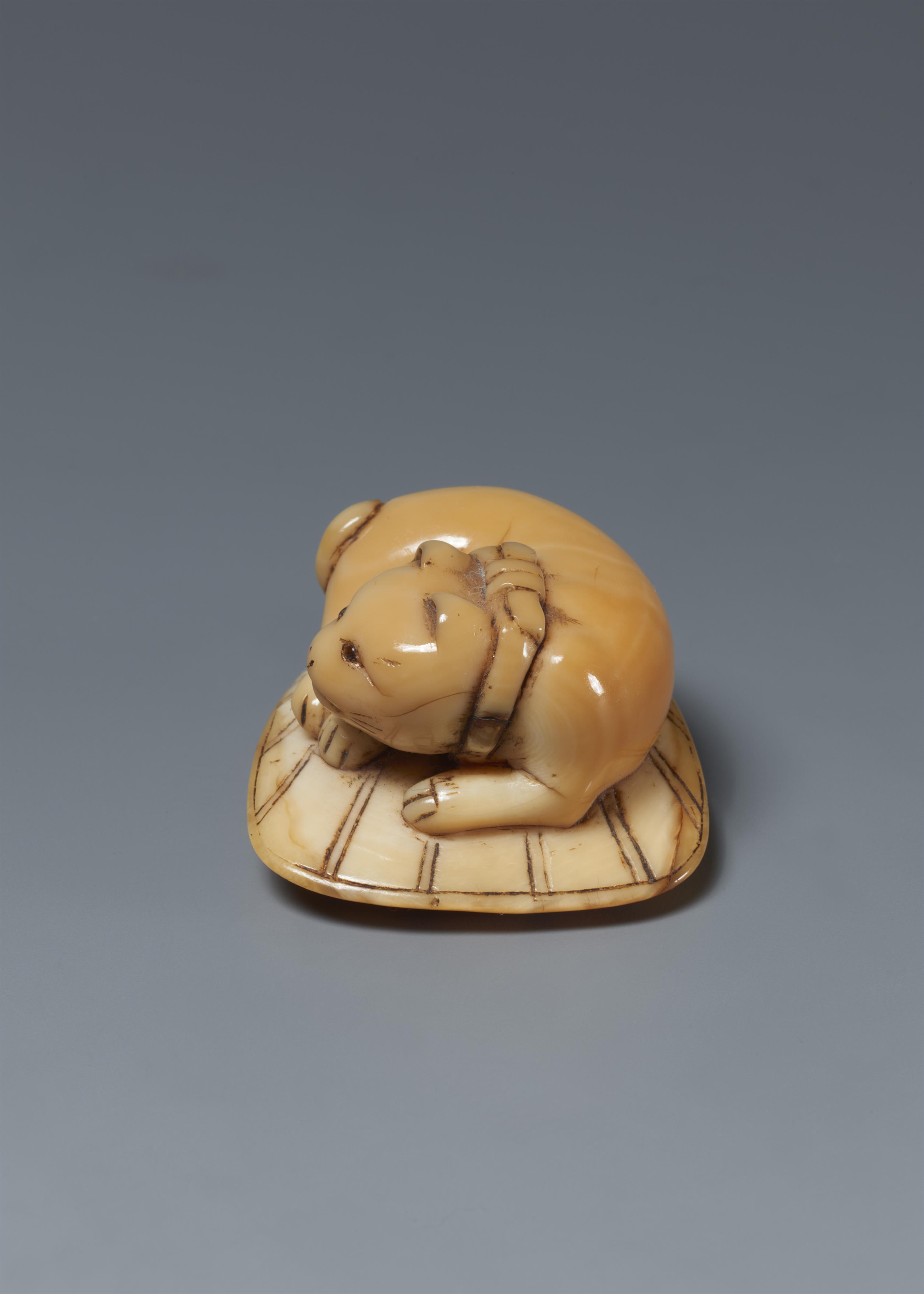 A marine ivory netsuke of a cat on a stiff fan. Around 1800 - image-4