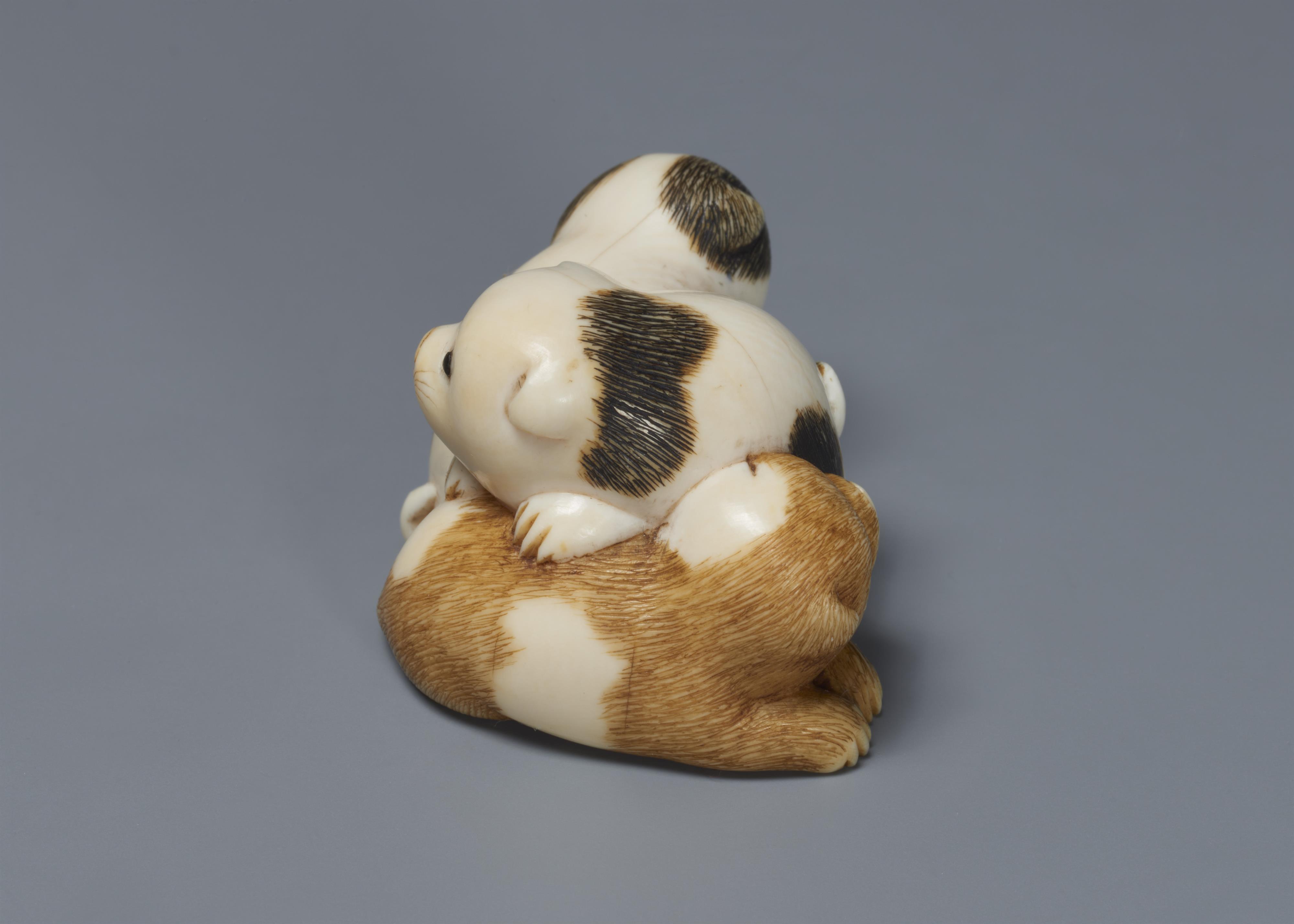 An ivory netsuke of three piebald puppies. Mid-19th century - image-4