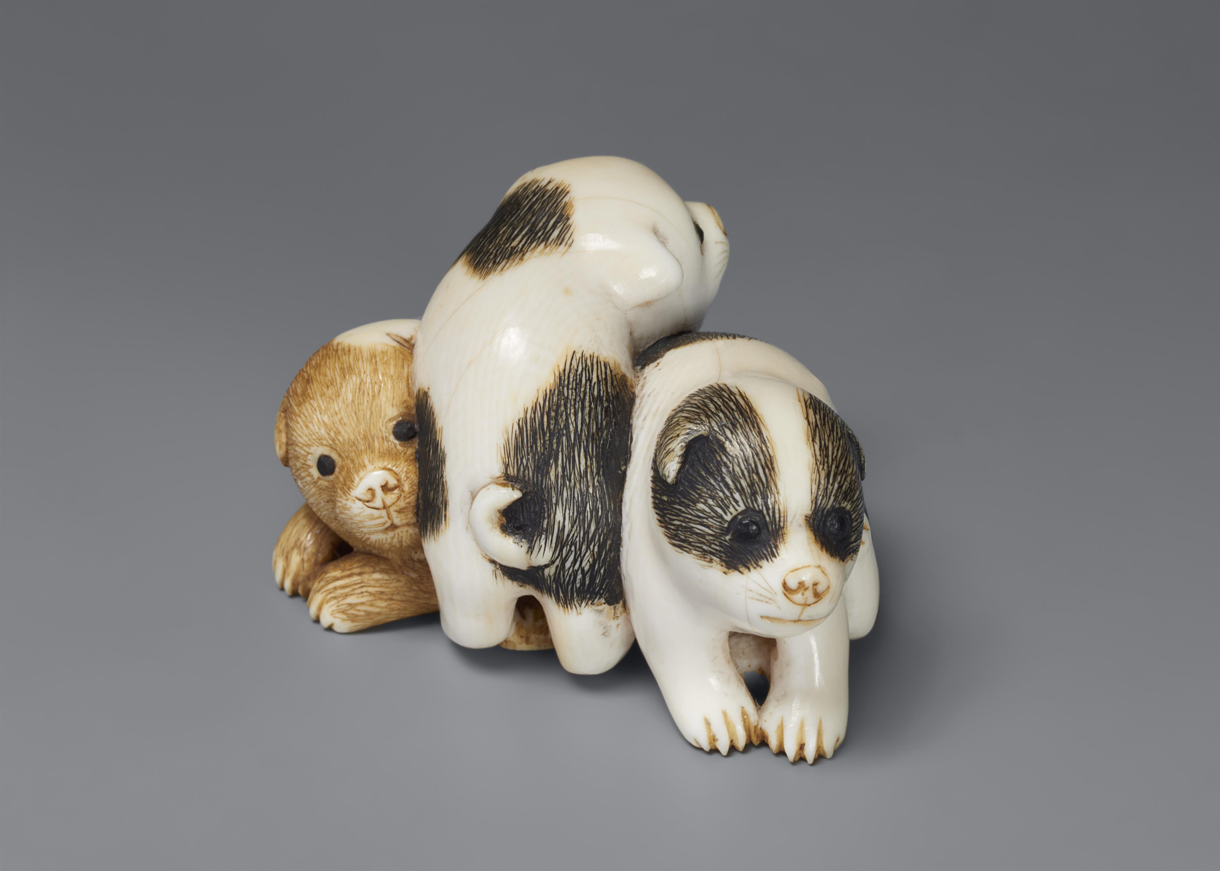 An ivory netsuke of three piebald puppies. Mid-19th century - image-1