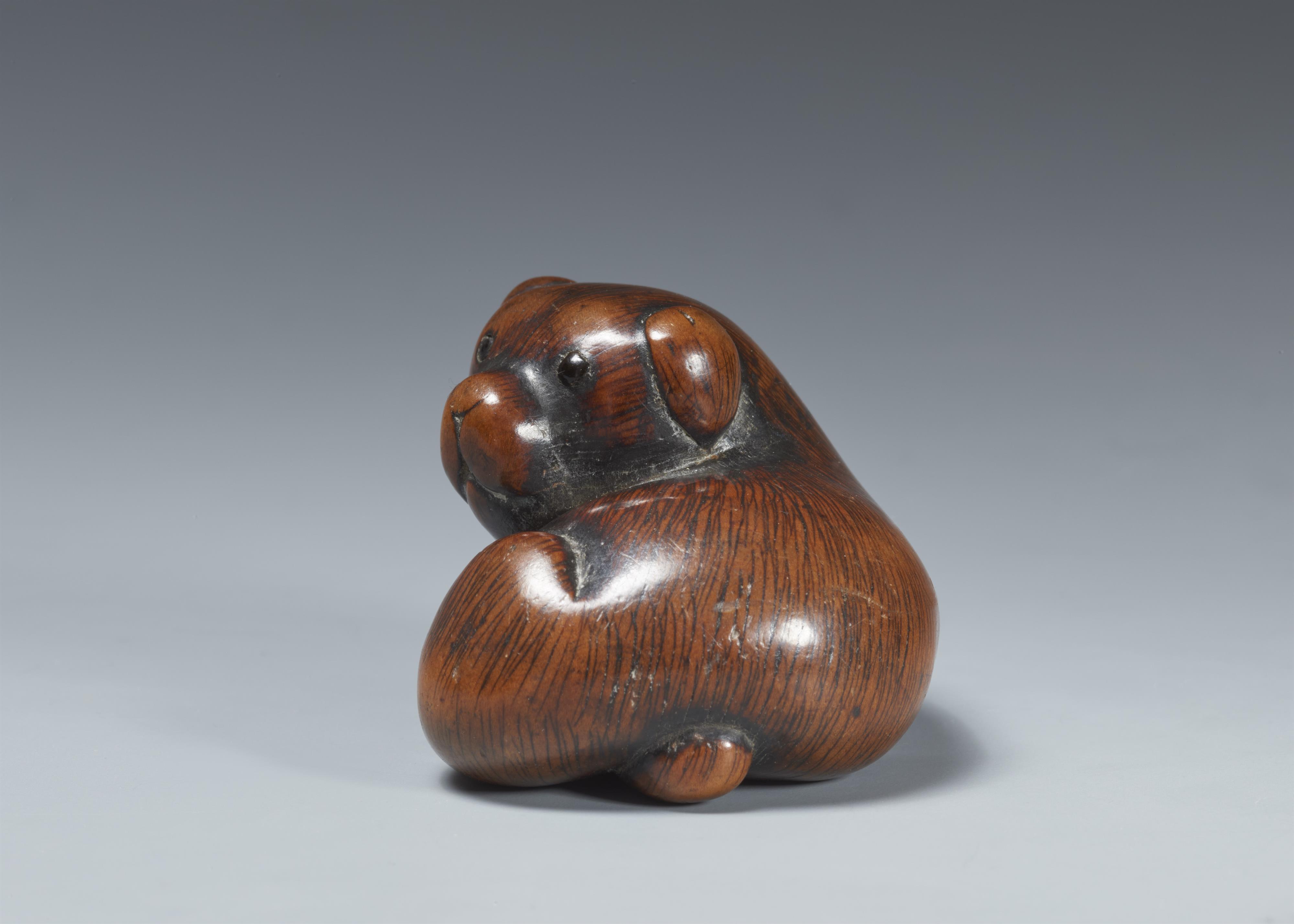 A large boxwood netsuke of a puppy. Early 19th century - image-2