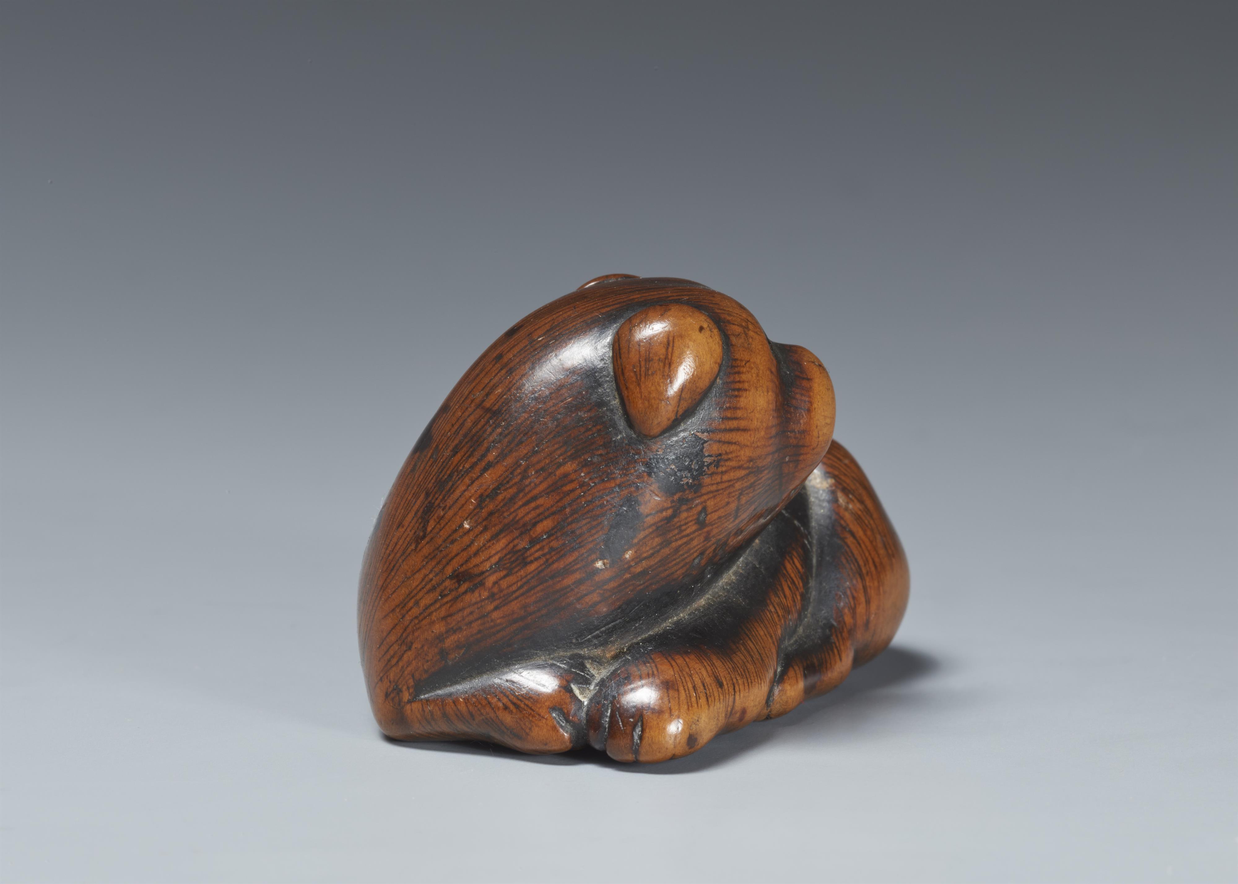 A large boxwood netsuke of a puppy. Early 19th century - image-3