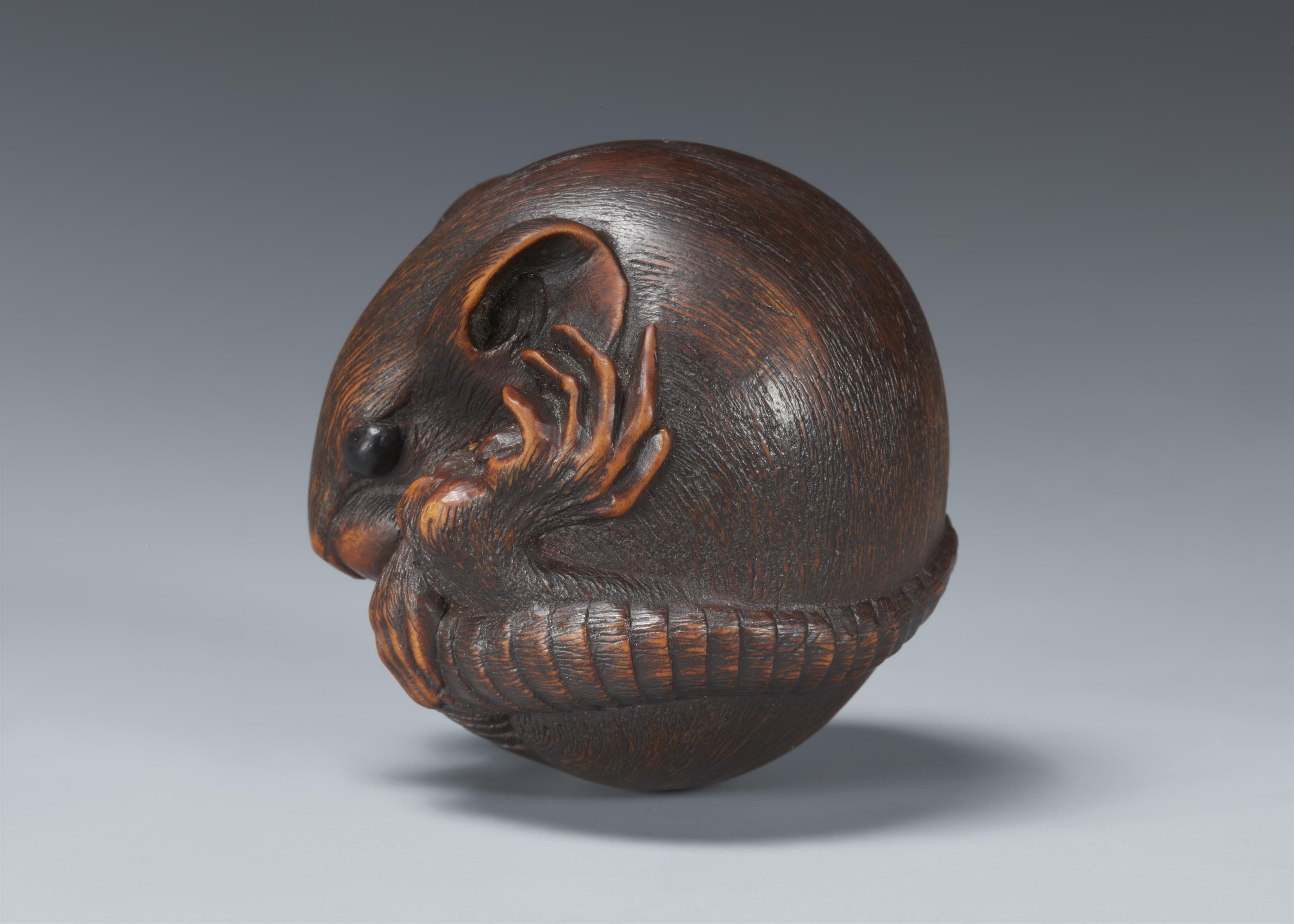 A Yamada school boxwood netsuke of a coiled rat. 19th century - image-4