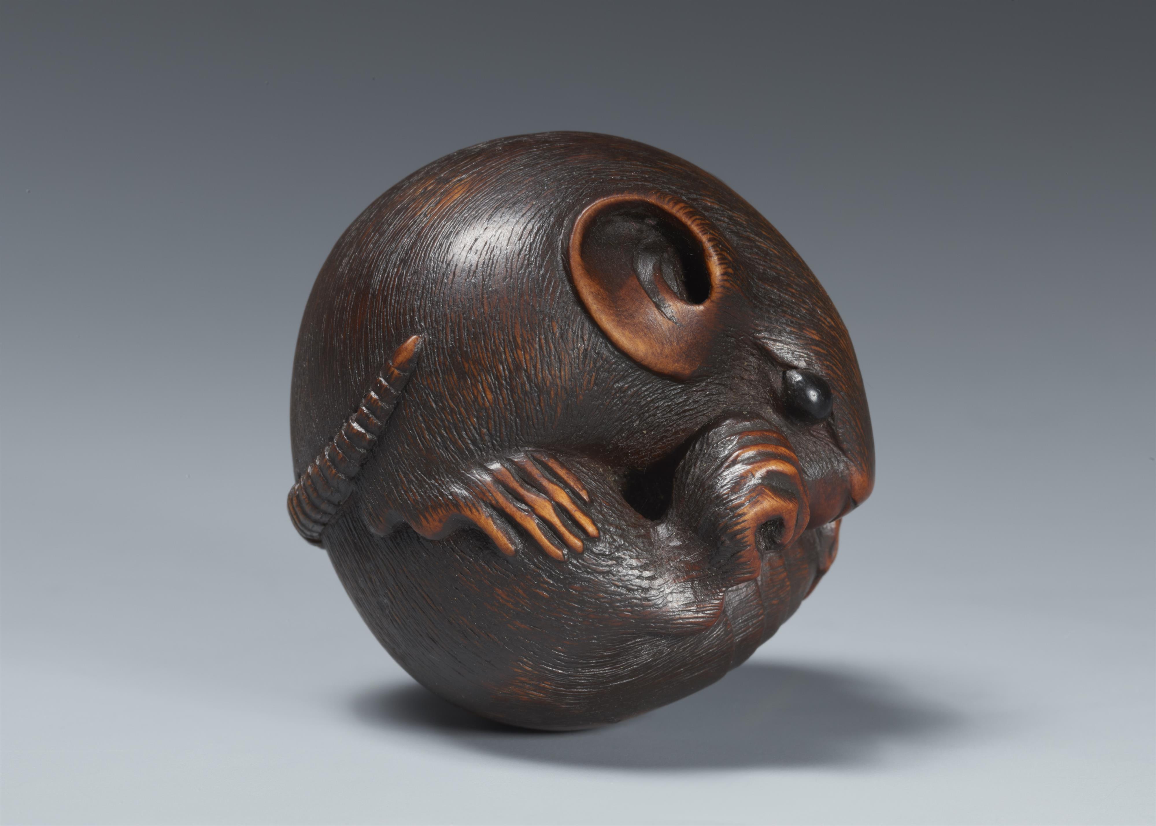 A Yamada school boxwood netsuke of a coiled rat. 19th century - image-6