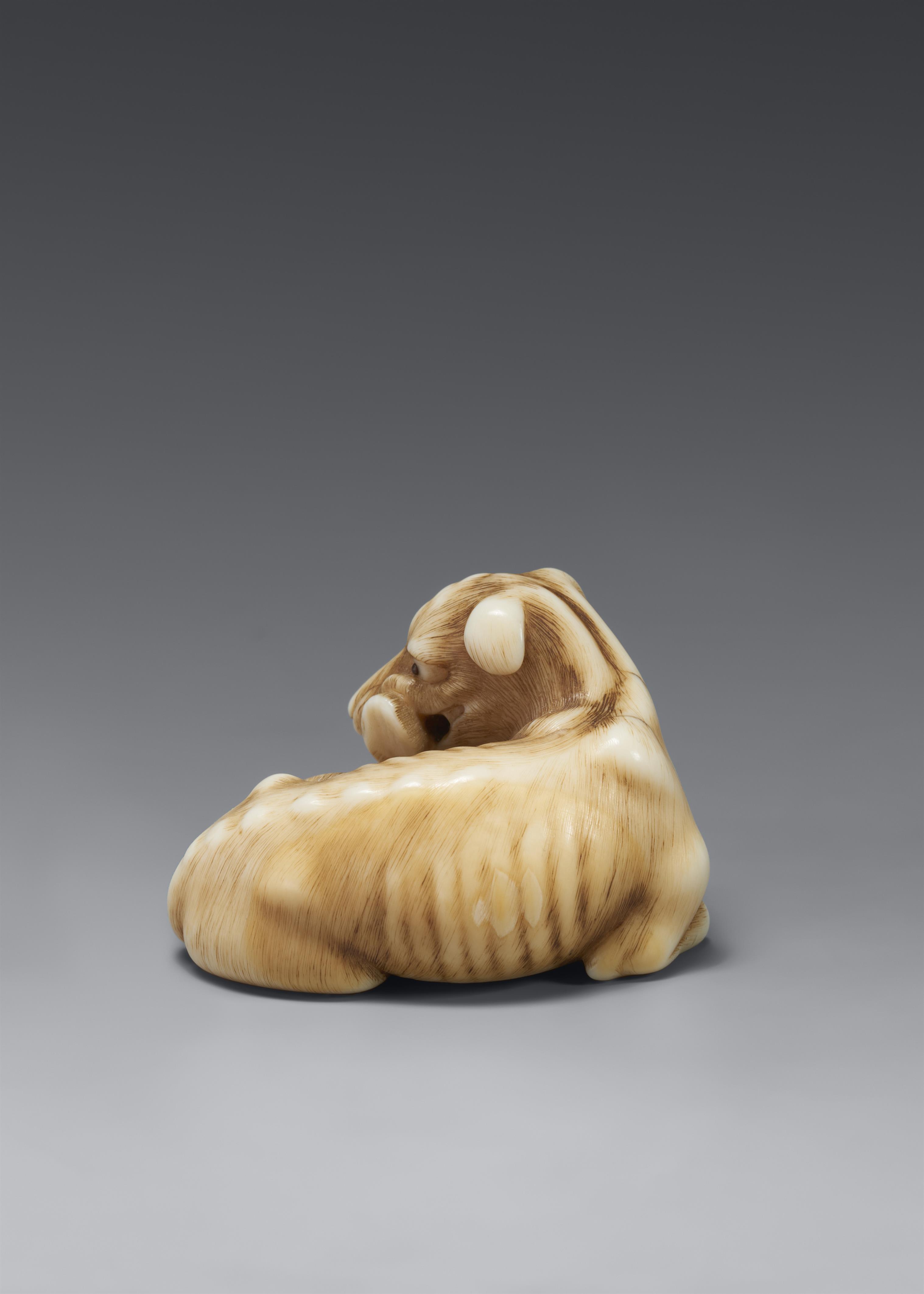 A fine ivory netsuke of a wild dog. First half 19th century - image-2