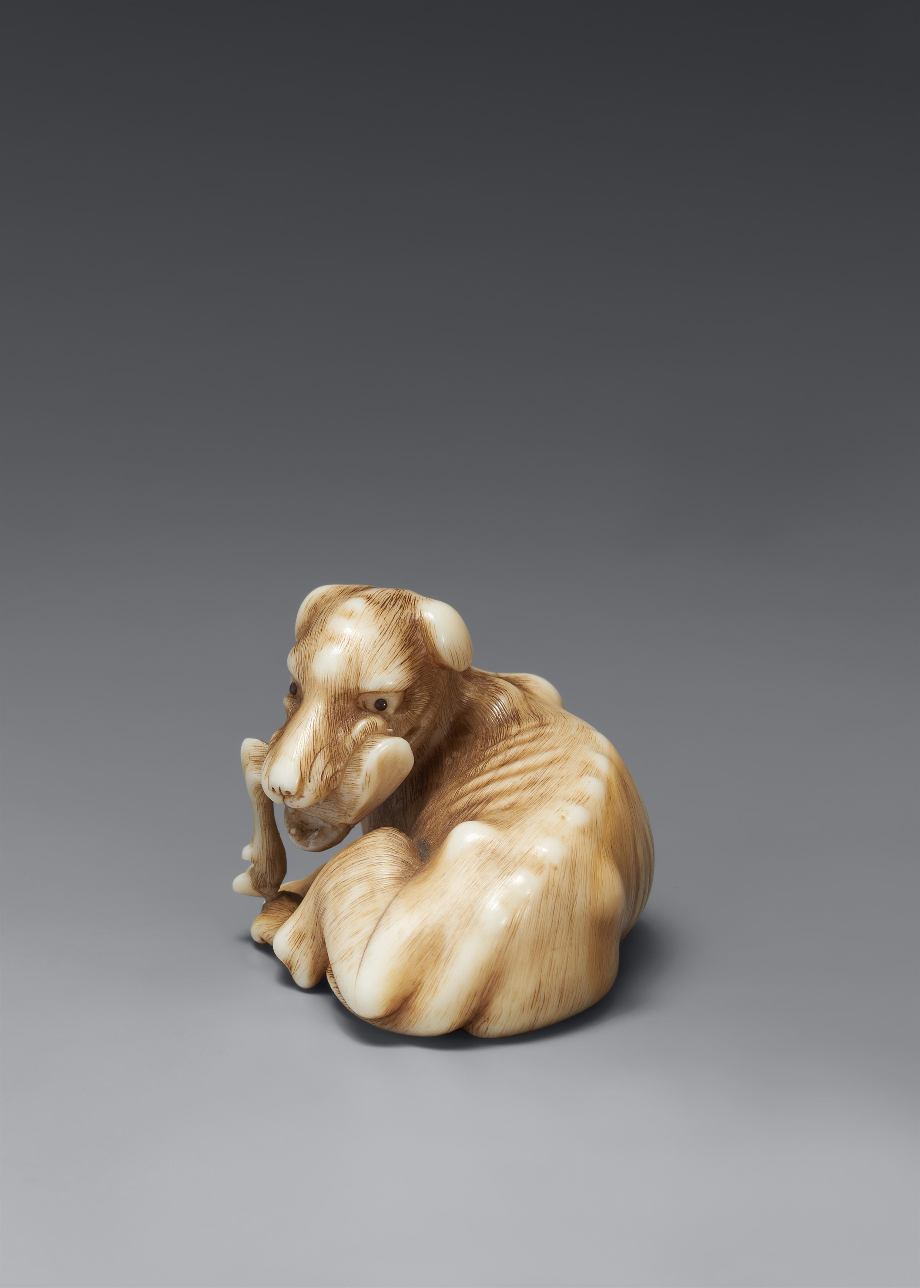 A fine ivory netsuke of a wild dog. First half 19th century - image-4