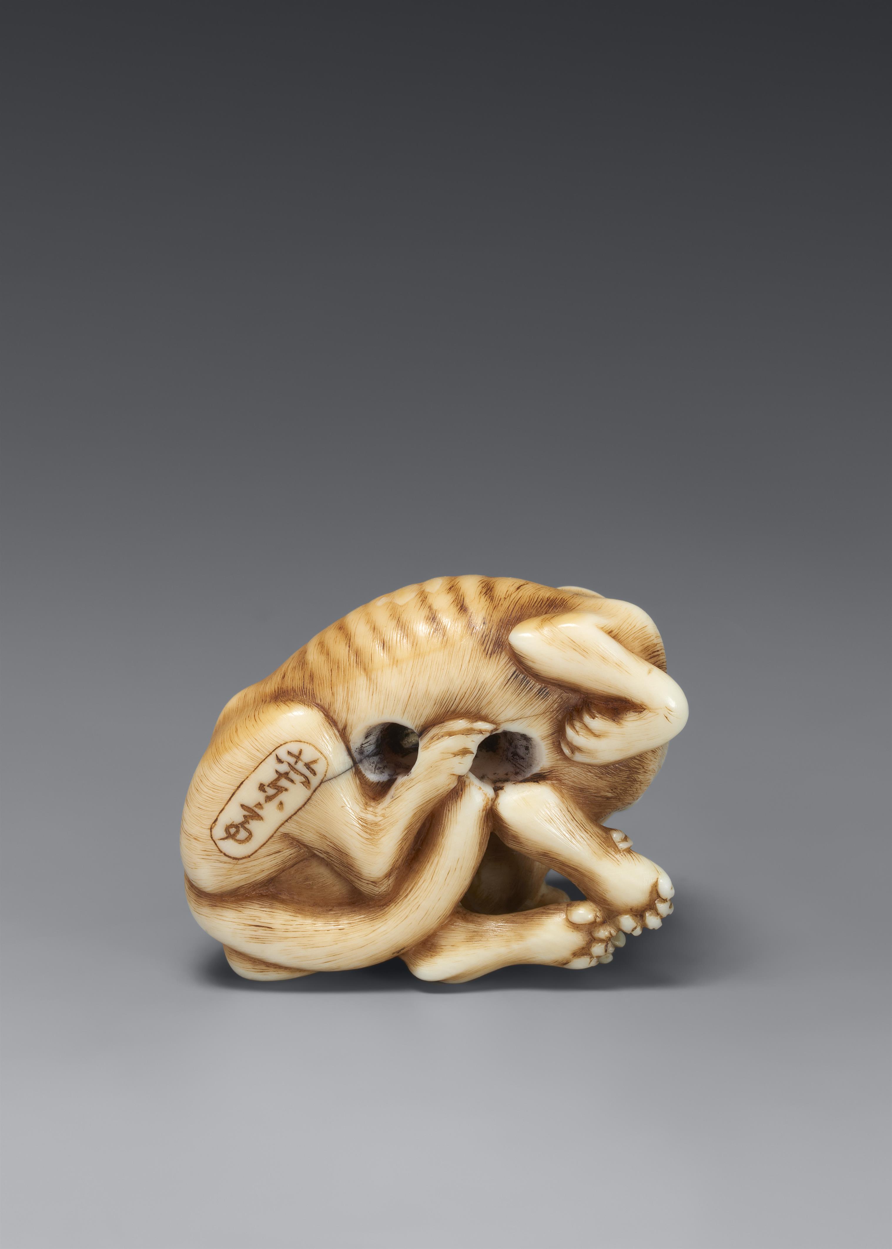 A fine ivory netsuke of a wild dog. First half 19th century - image-5