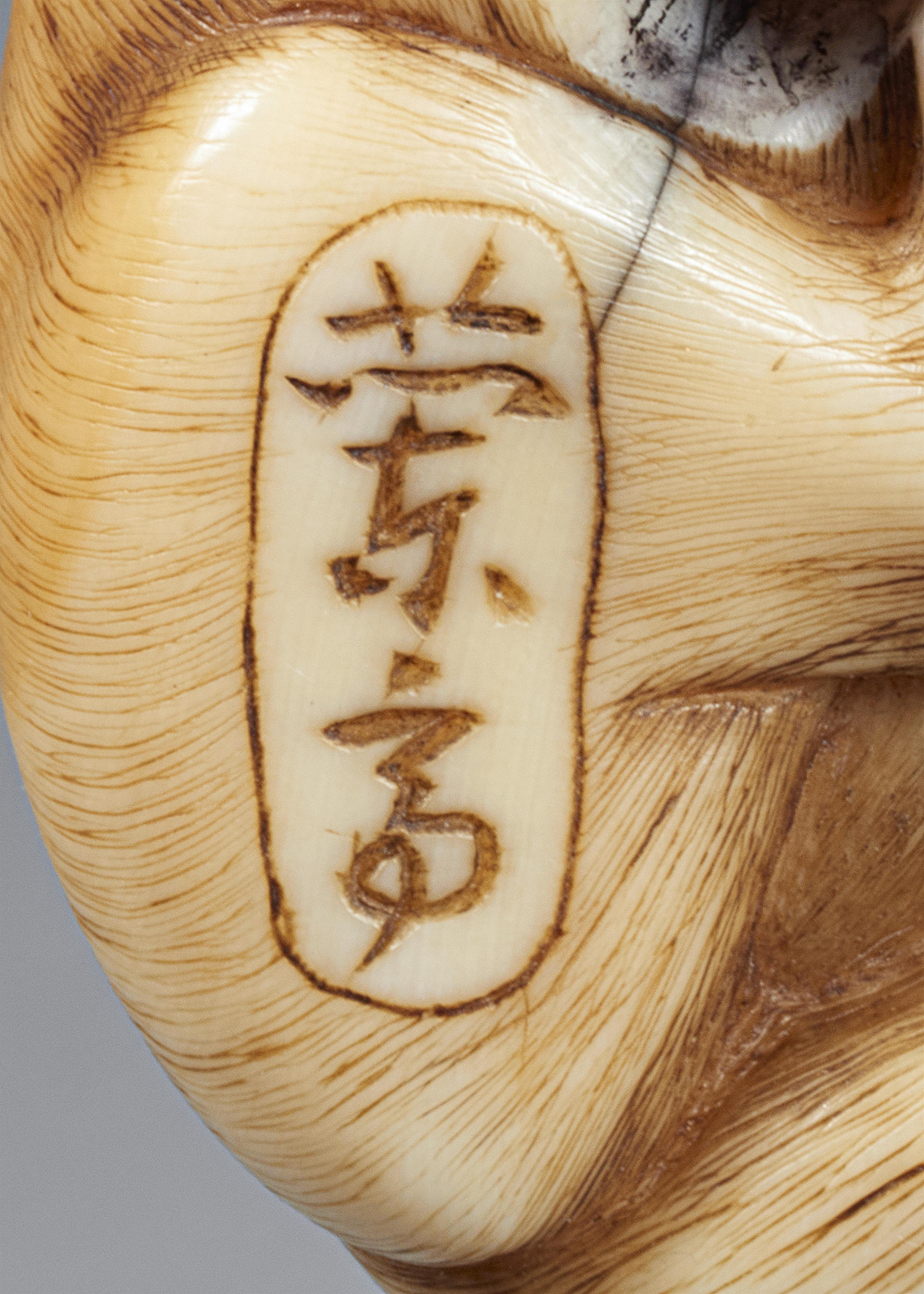 A fine ivory netsuke of a wild dog. First half 19th century - image-6