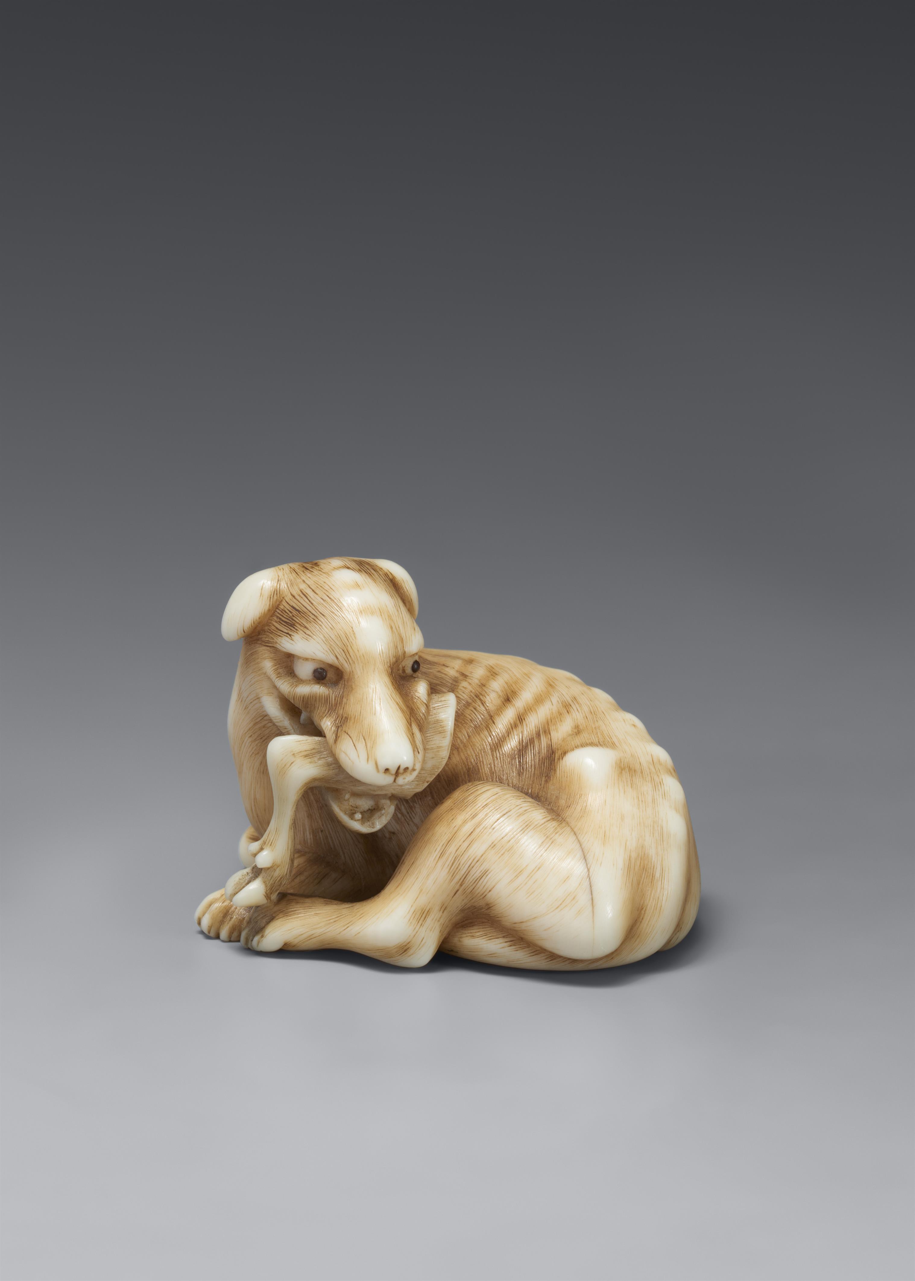 A fine ivory netsuke of a wild dog. First half 19th century - image-1