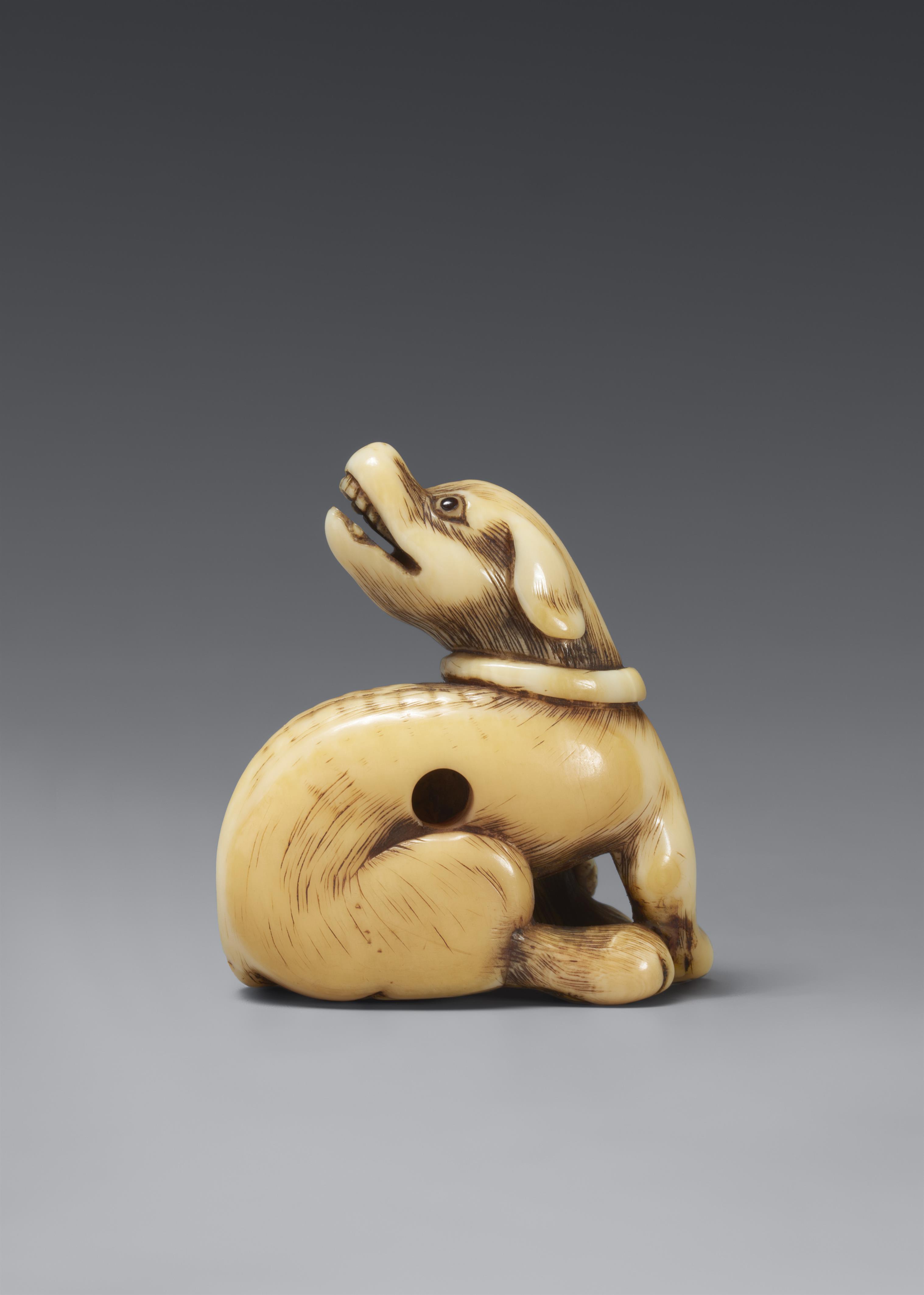 An ivory netsuke of a seated dog. Around 1800 - image-2