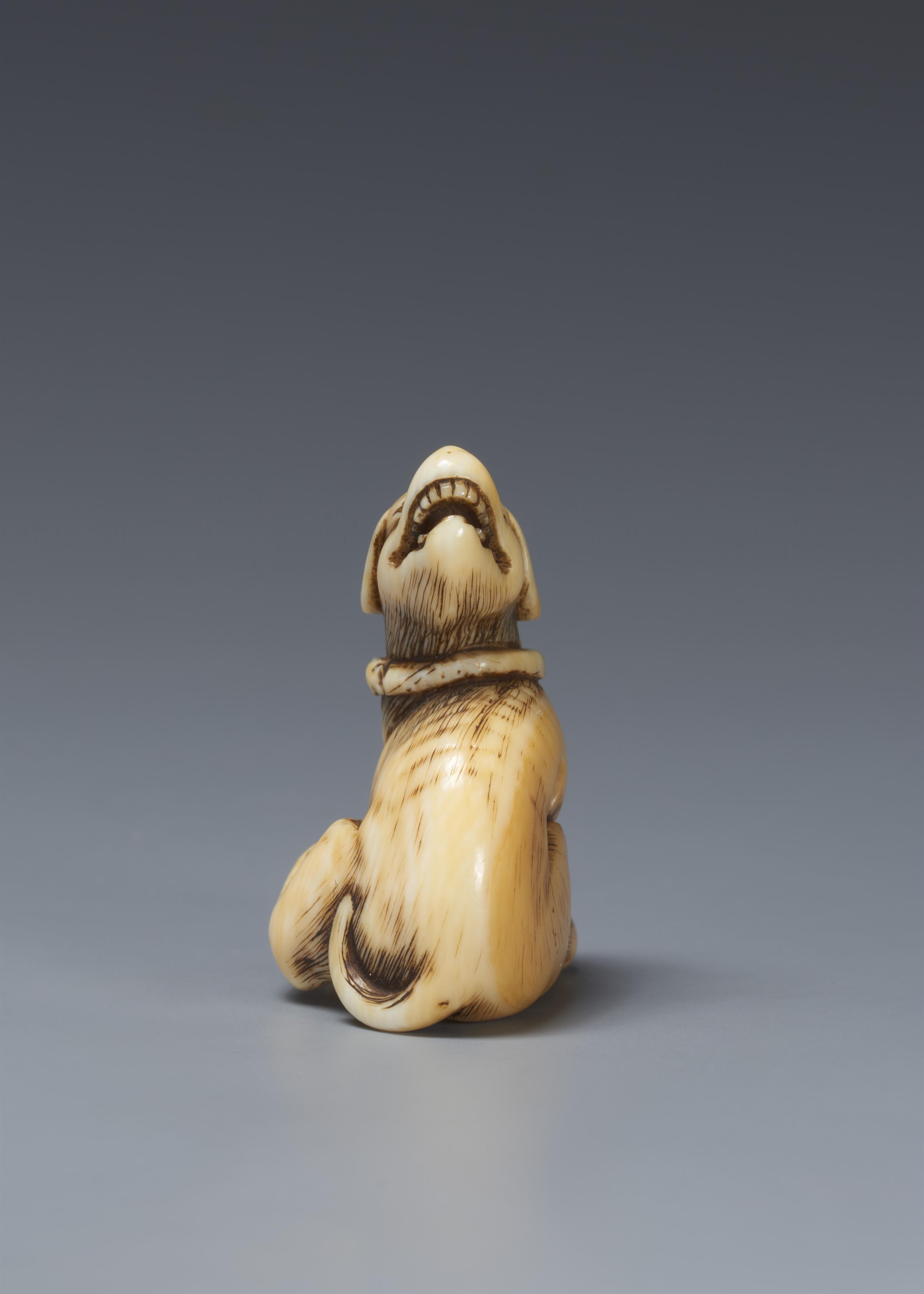 An ivory netsuke of a seated dog. Around 1800 - image-3