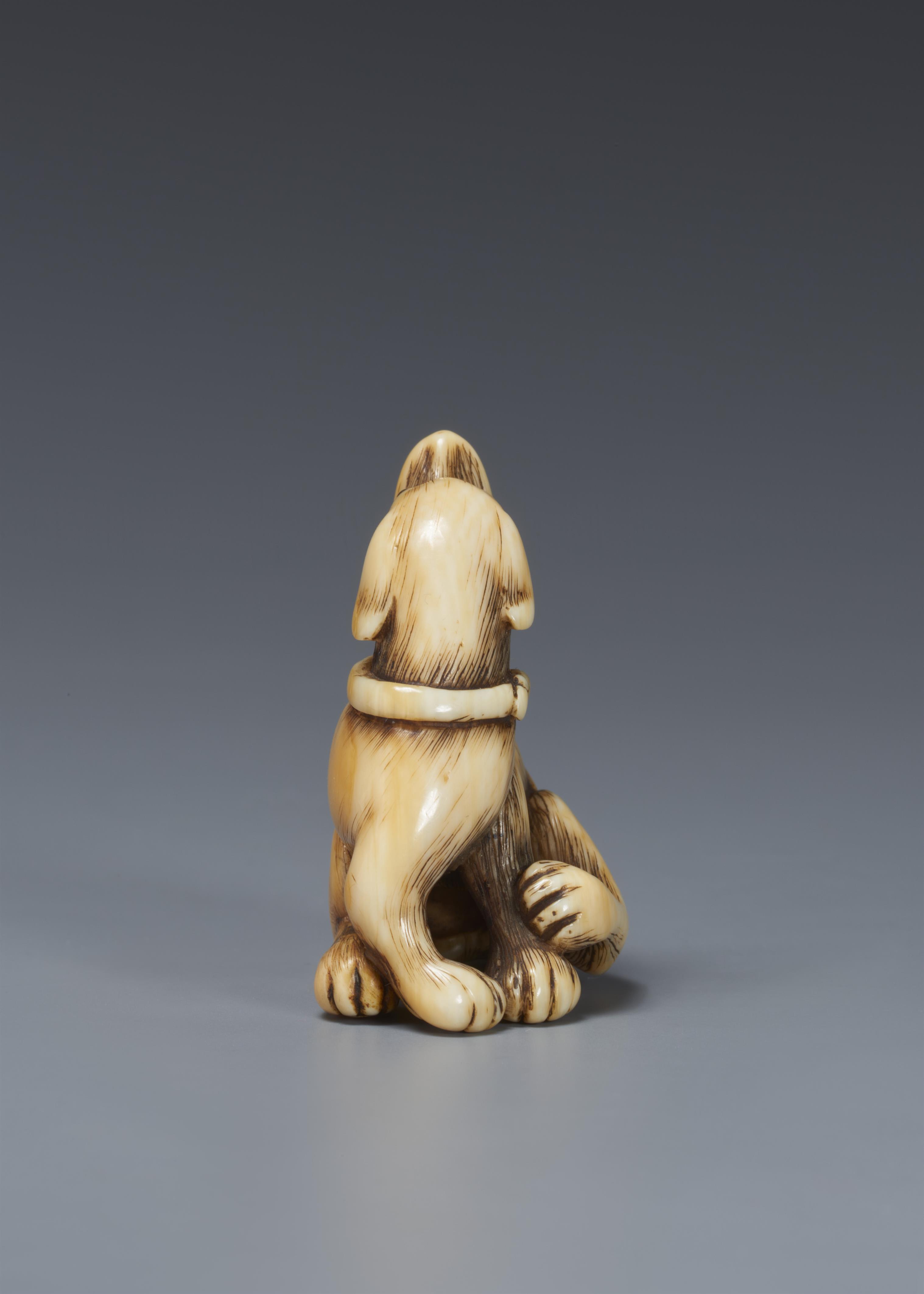 An ivory netsuke of a seated dog. Around 1800 - image-4