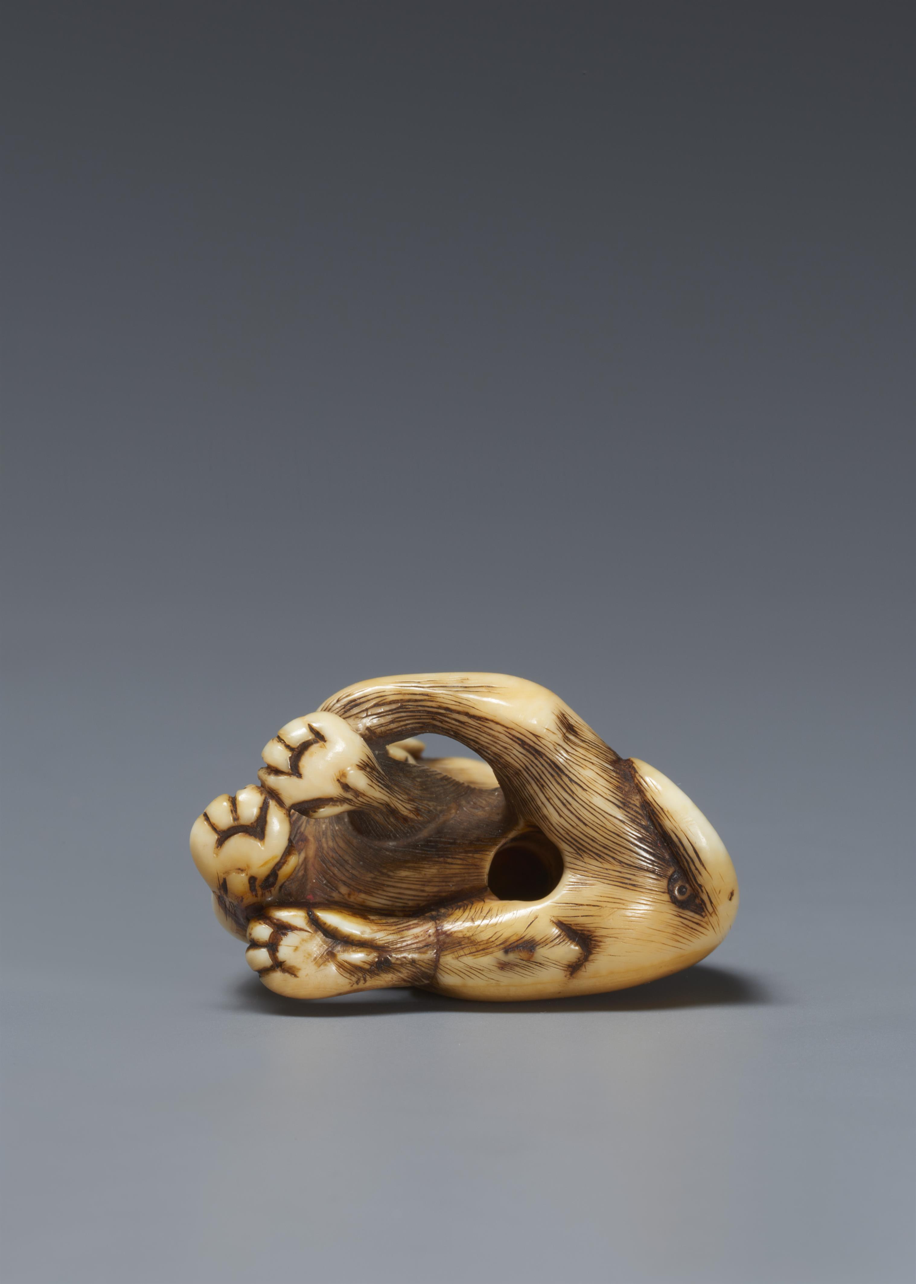 An ivory netsuke of a seated dog. Around 1800 - image-5