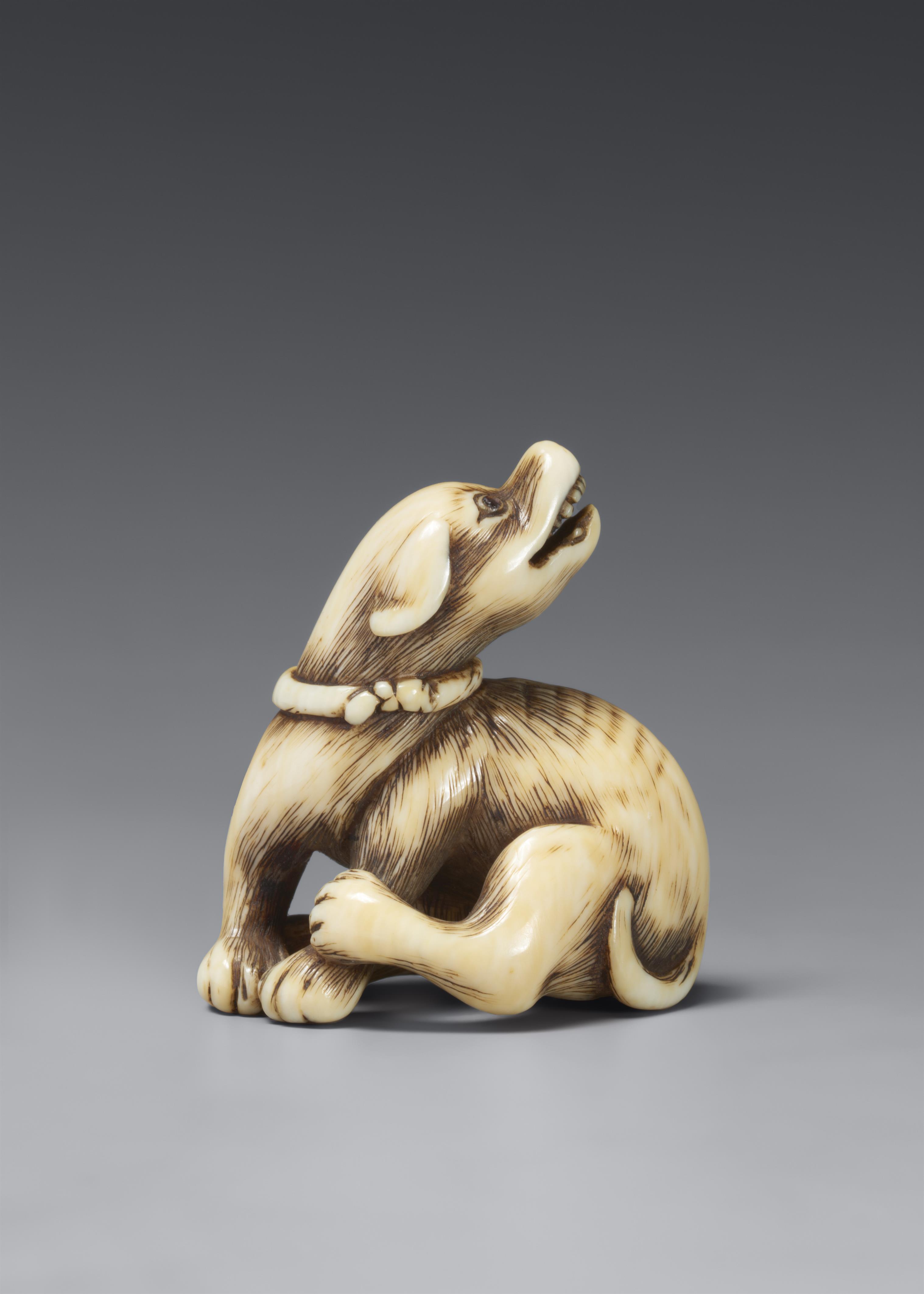 An ivory netsuke of a seated dog. Around 1800 - image-1