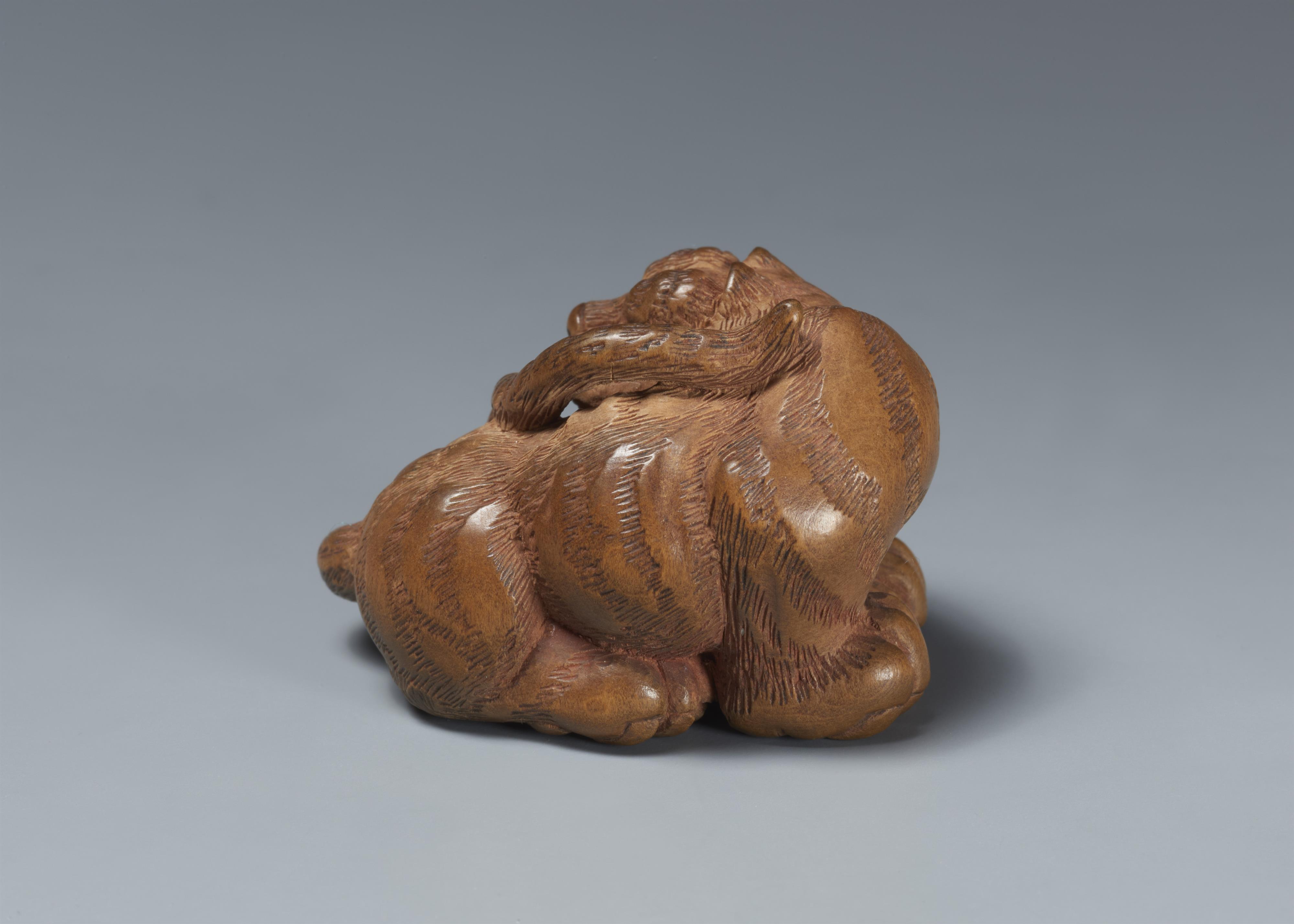 A light boxwood netsuke of a tiger. 19th century - image-2