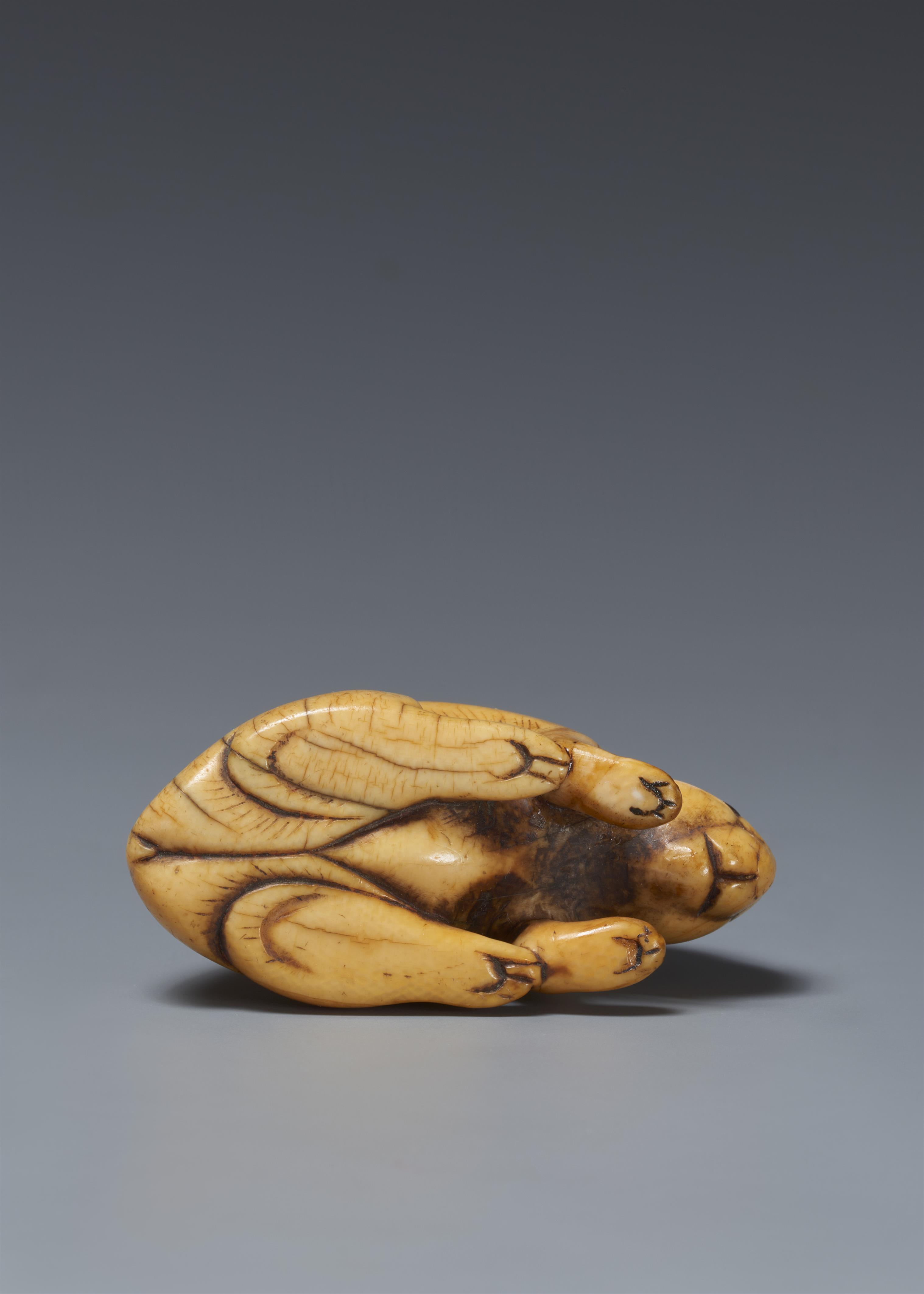 A large ivory netsuke of a rabbit. 18th century - image-5