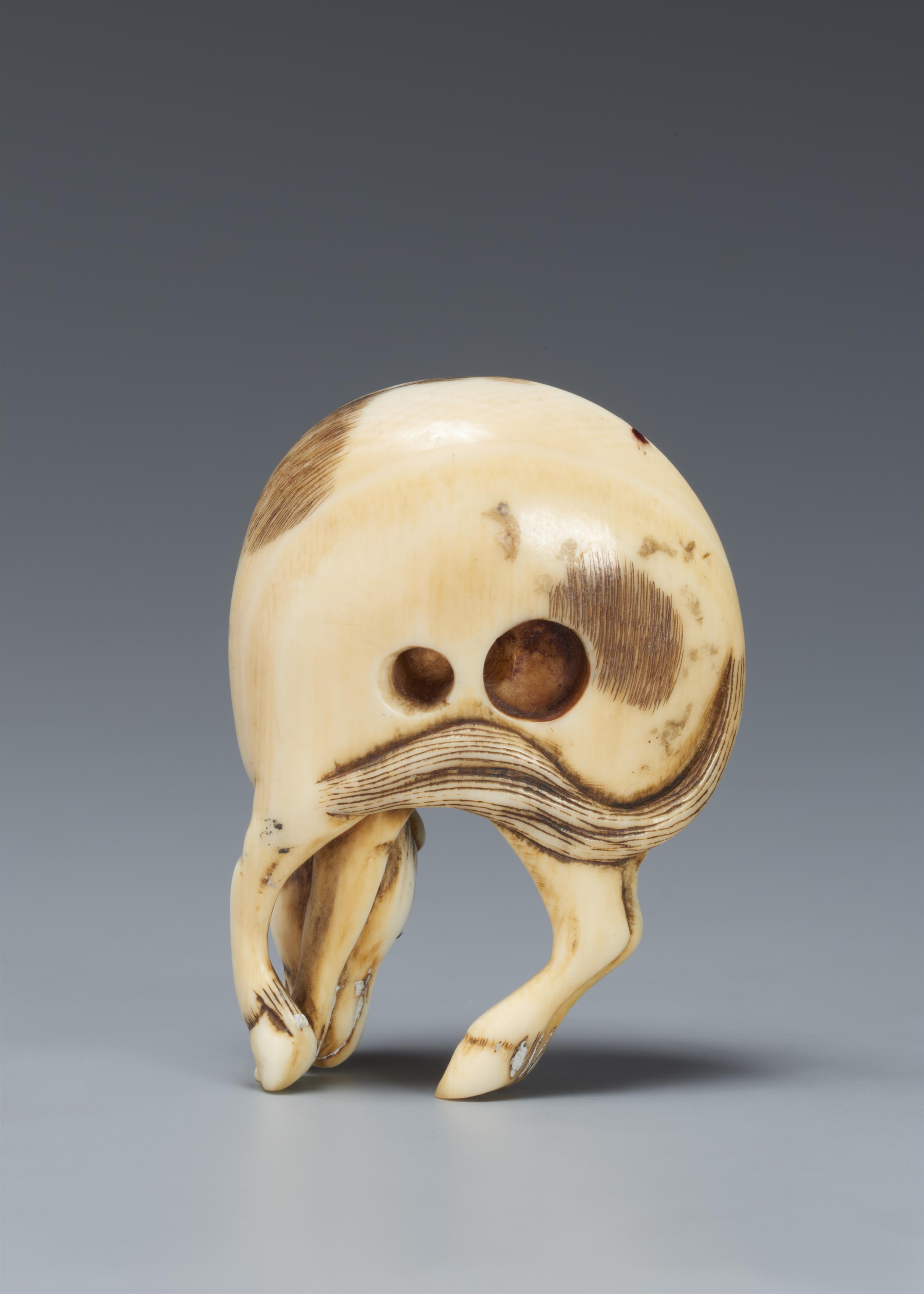 An ivory netsuke of a grazing horse. Around 1800 - image-2