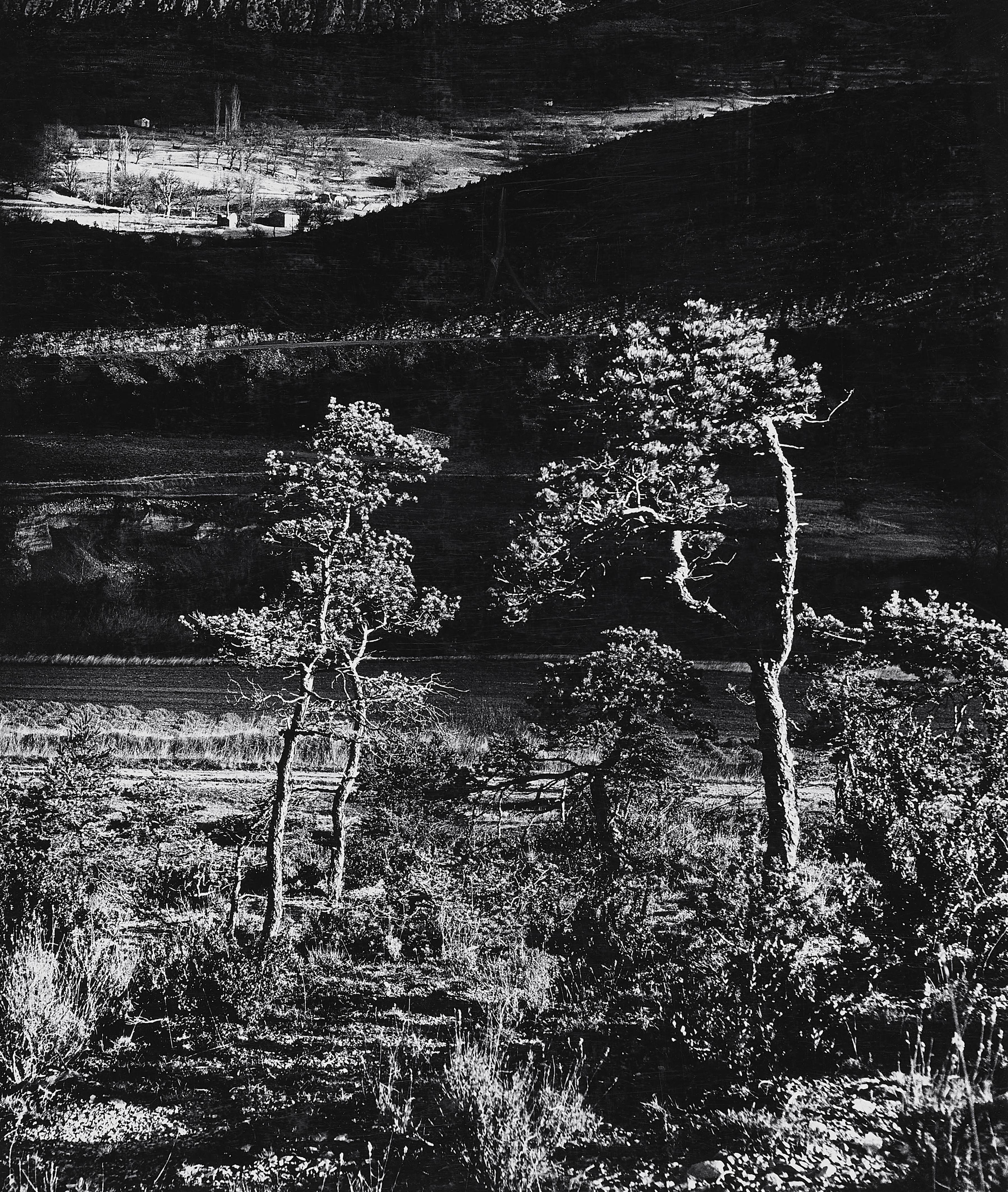 Detlef Orlopp - Provenzialische Landschaft - image-1
