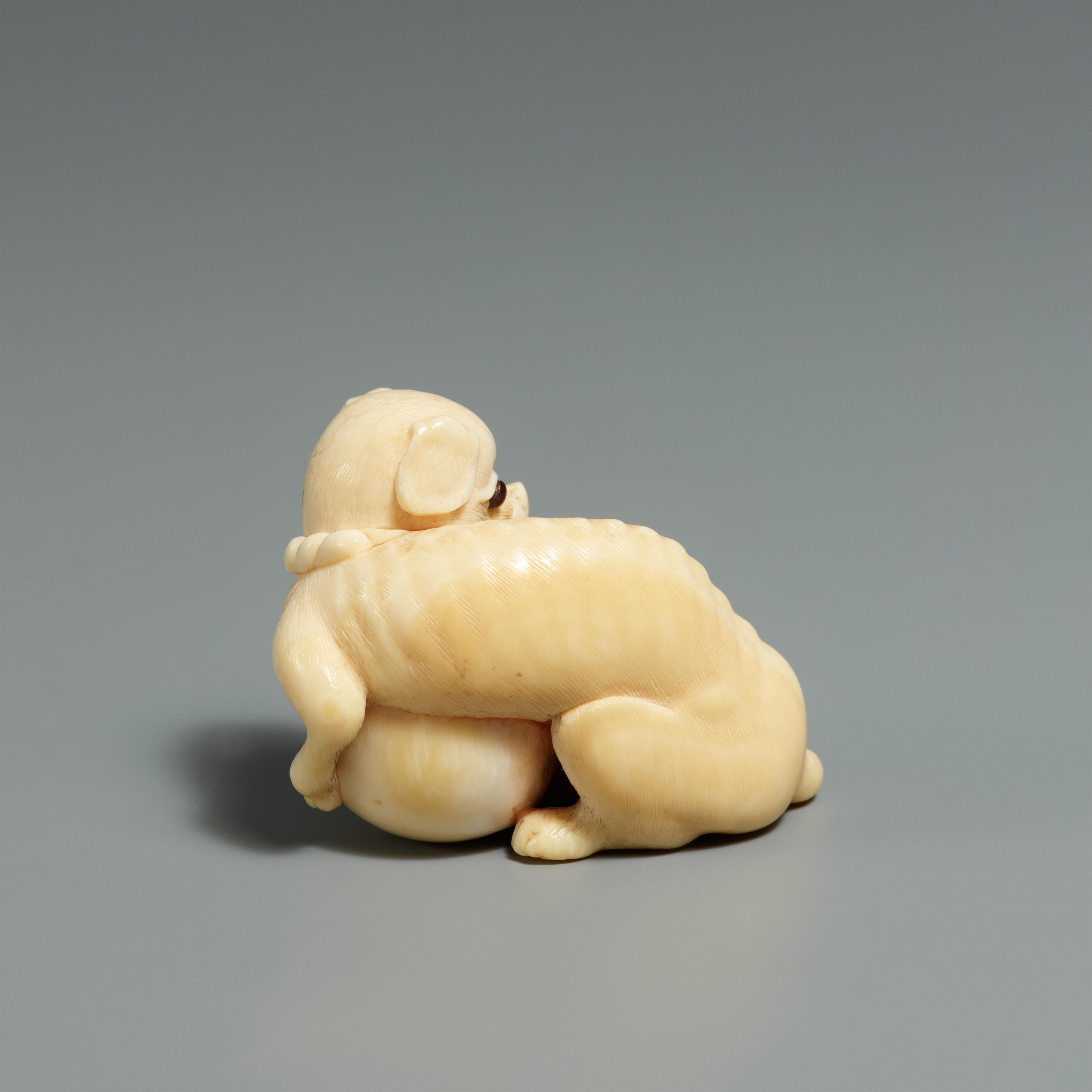 An ivory netsuke of a dog with a ball. Early 19th century - image-2