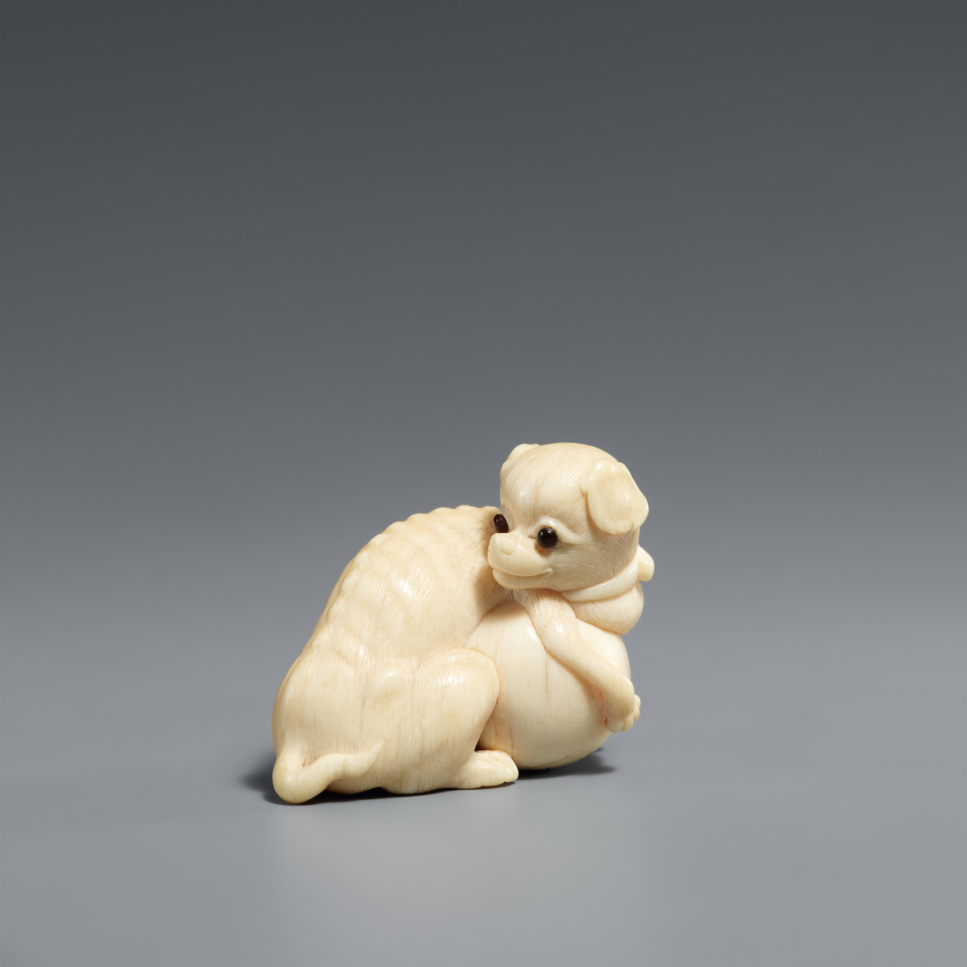 An ivory netsuke of a dog with a ball. Early 19th century - image-1