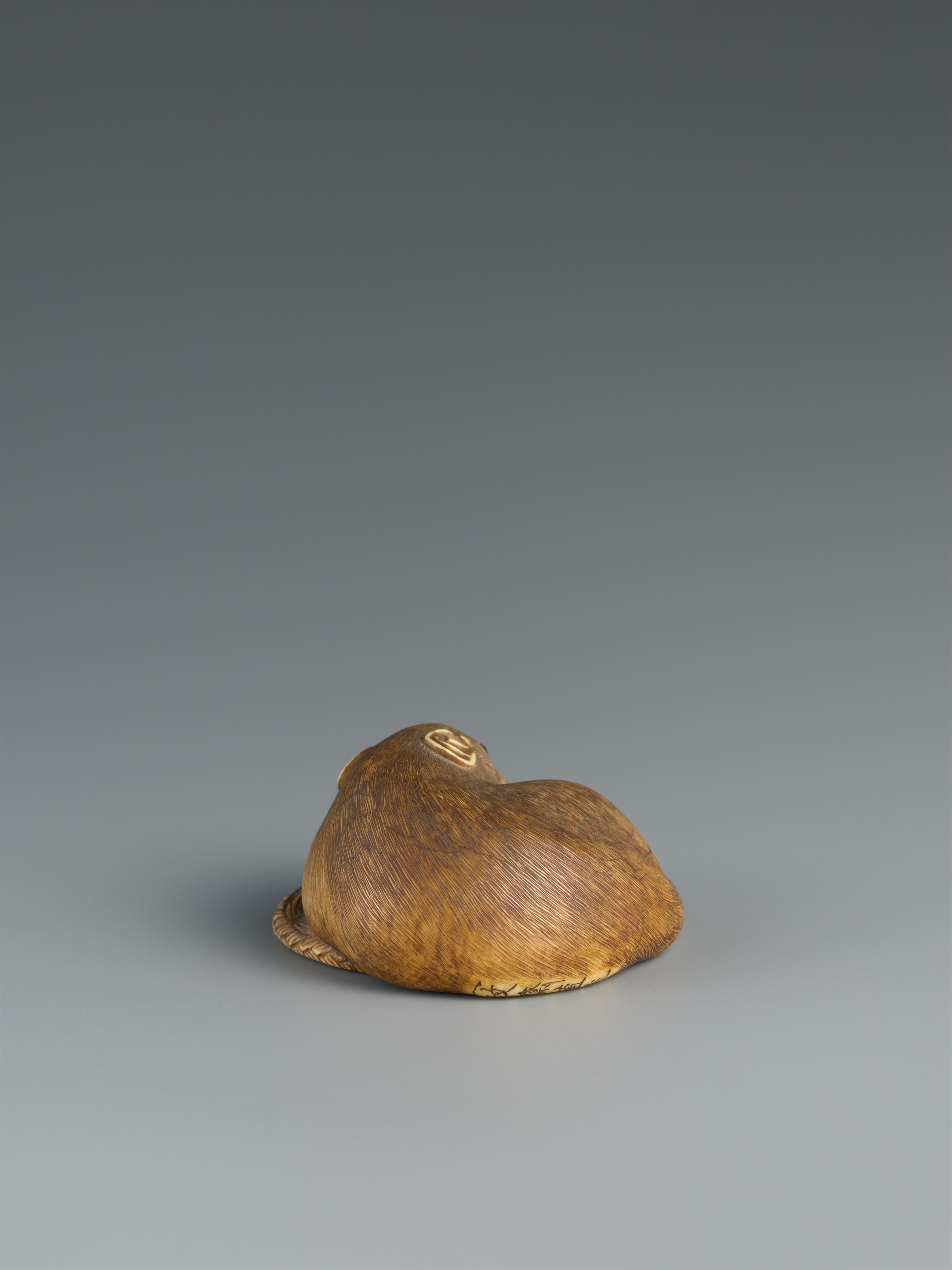 Netsuke einer großen Ratte auf einem geflochtenen Kissen. Elfenbein. Um 1900 - image-2