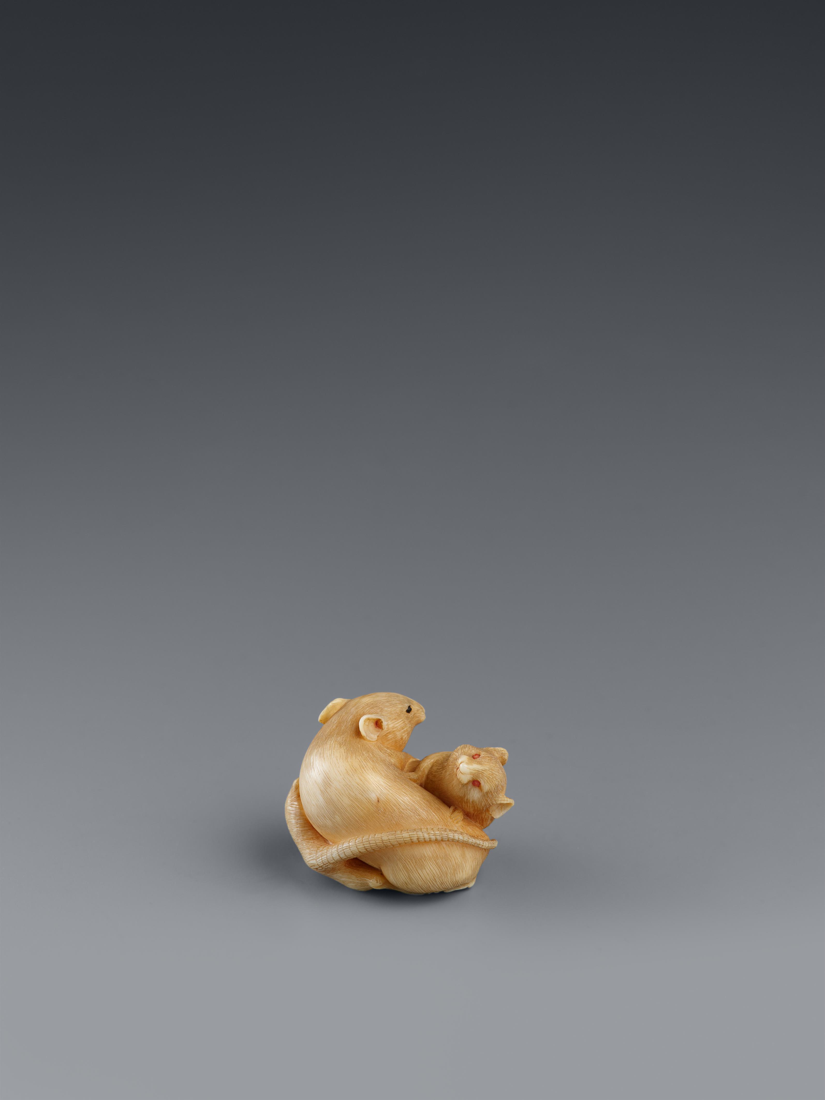 An ivory netsuke of two rats. Late 19th century - image-2