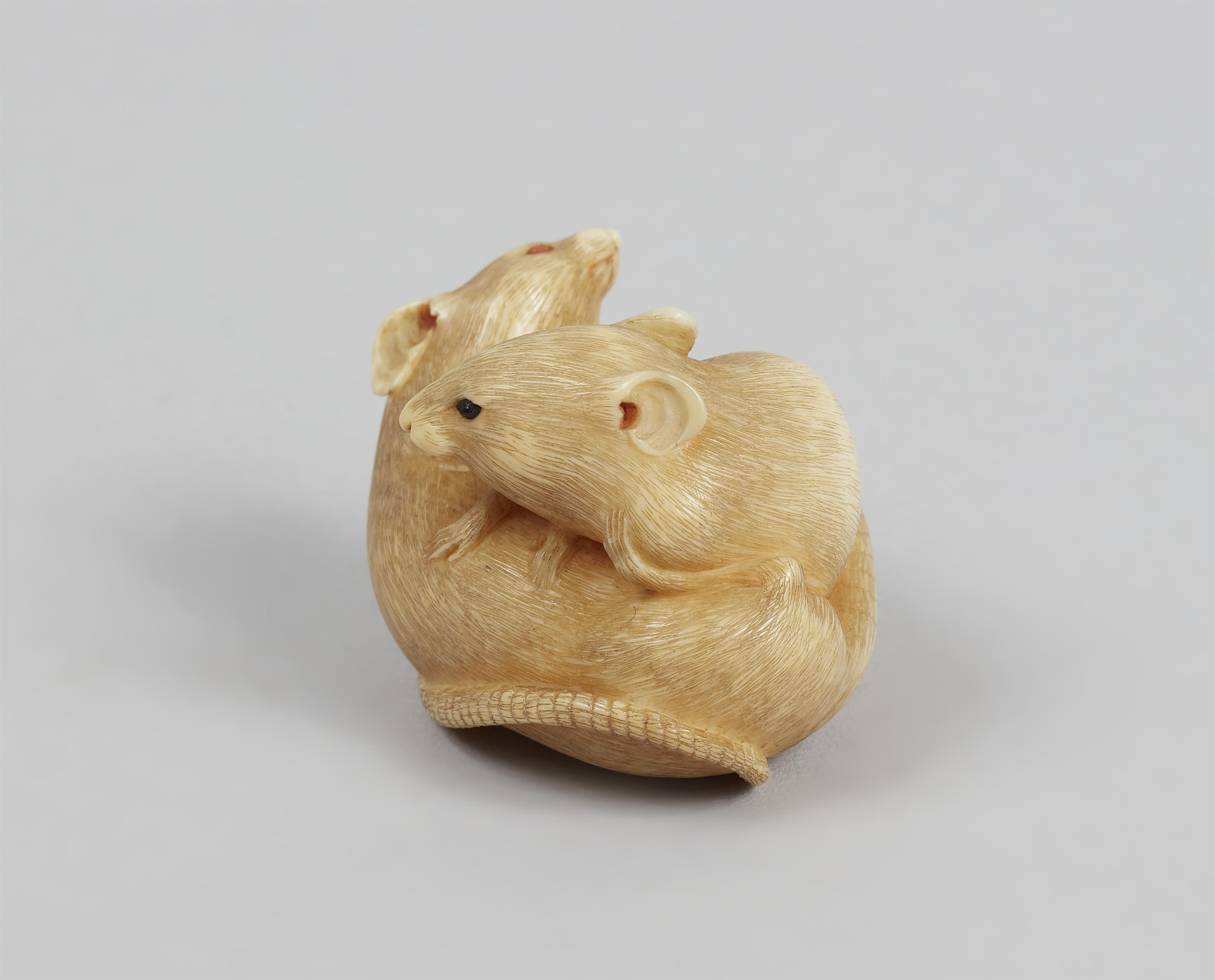 Netsuke zweier Ratten. Elfenbein. Spätes 19. Jh. - image-4