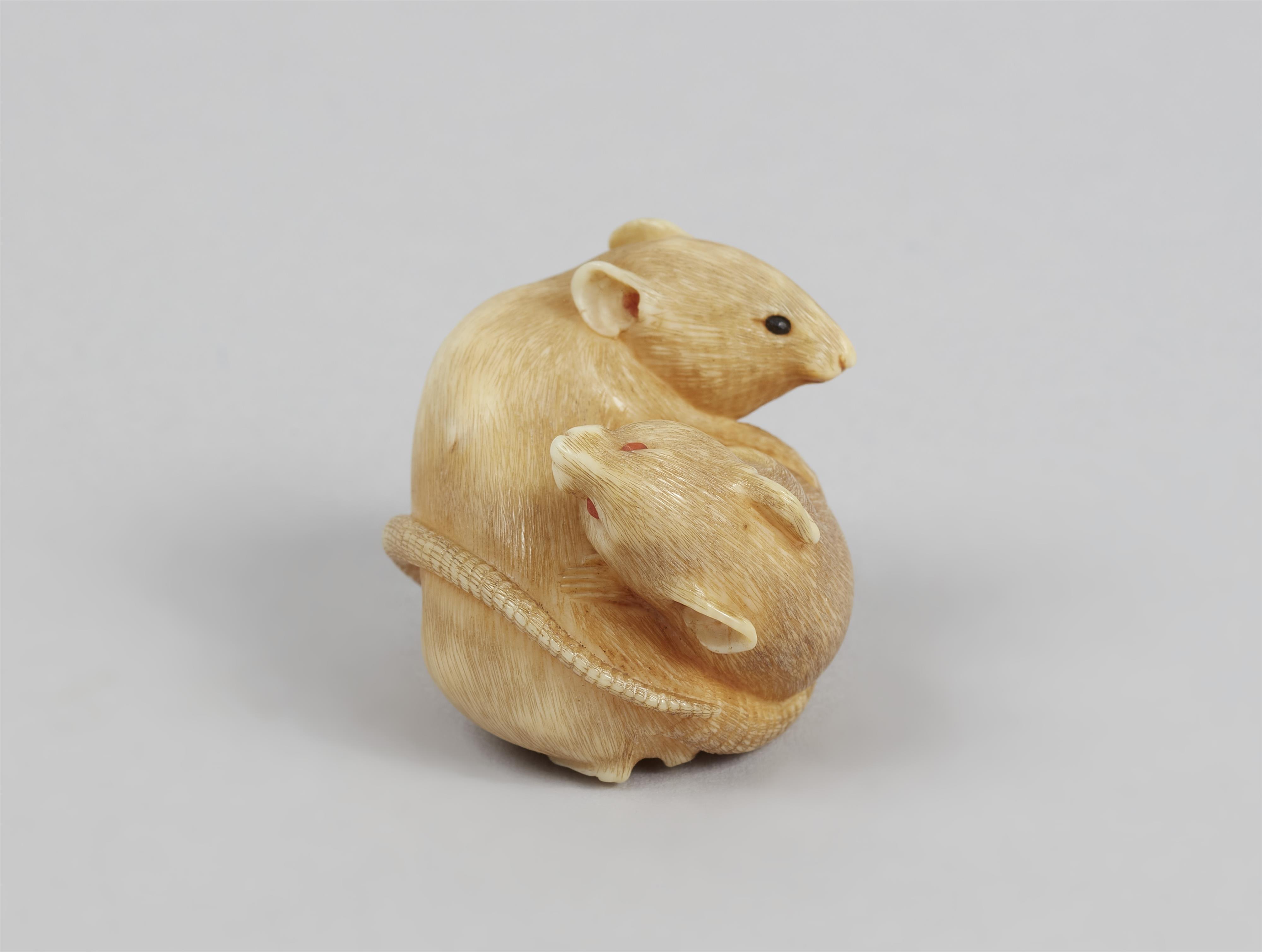 Netsuke zweier Ratten. Elfenbein. Spätes 19. Jh. - image-6