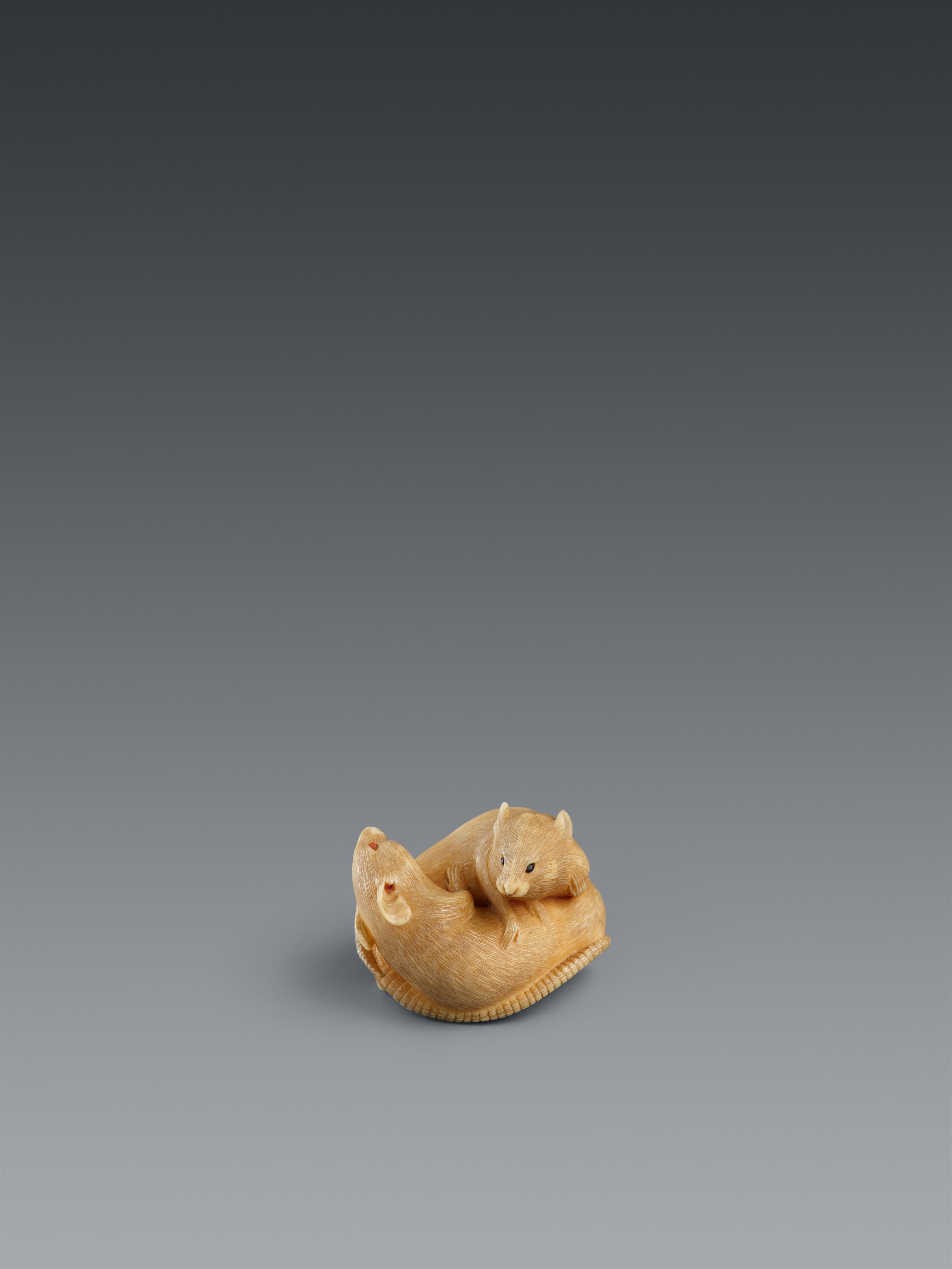 An ivory netsuke of two rats. Late 19th century - image-1