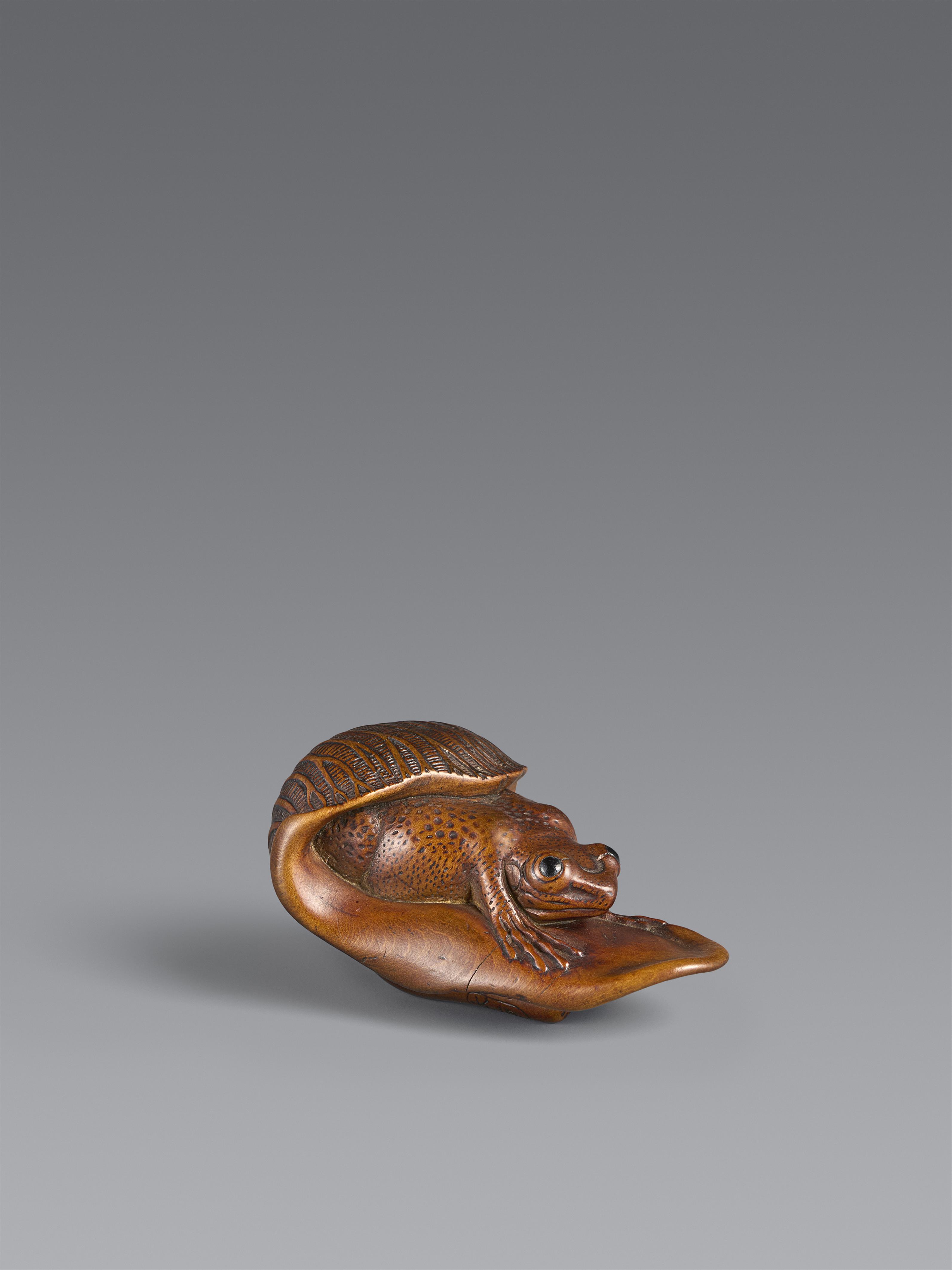 A wood netsuke of a frog on a taro leaf. 19th century - image-1