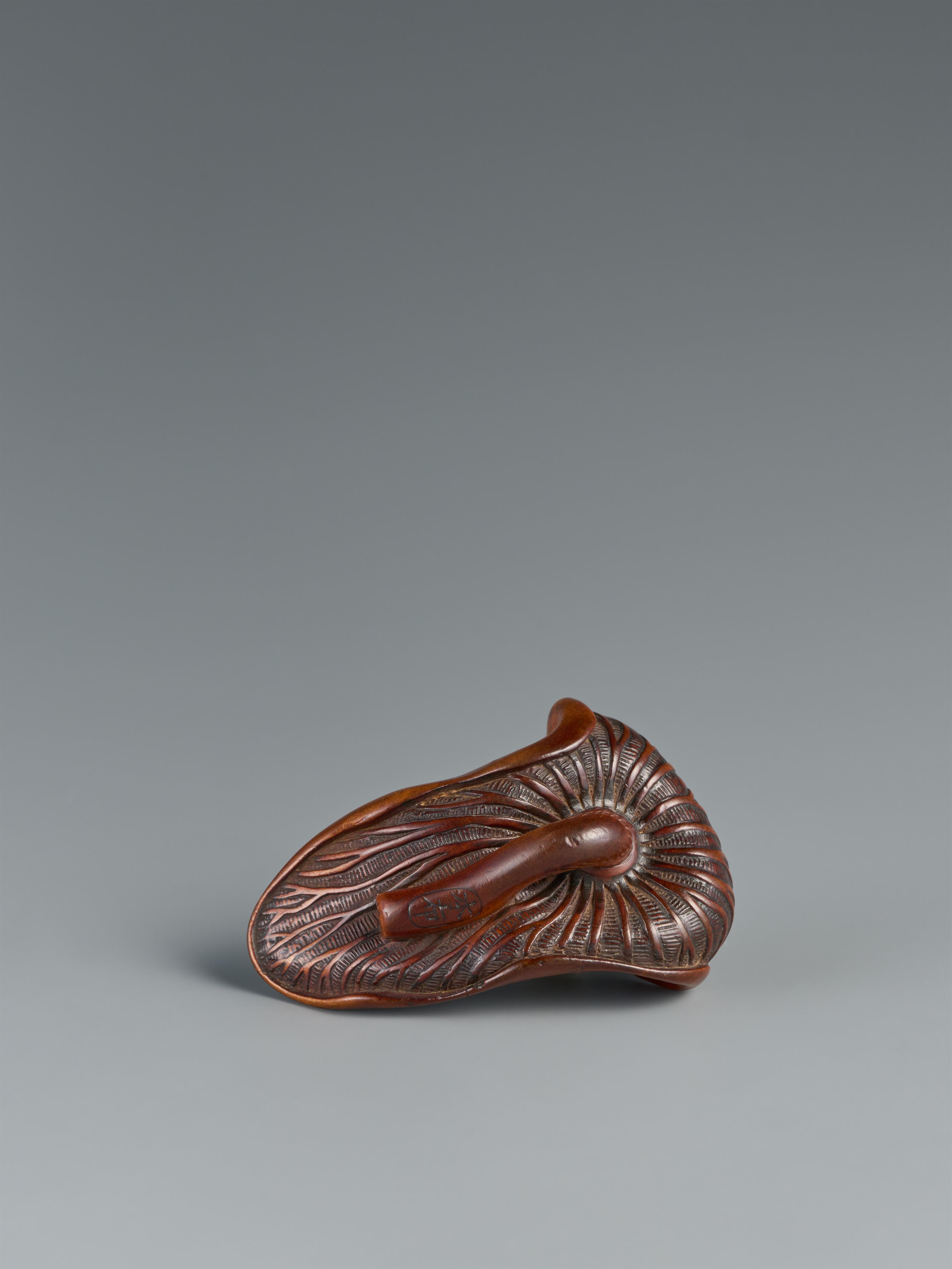 A wood netsuke of a frog on a taro leaf. 19th century - image-3