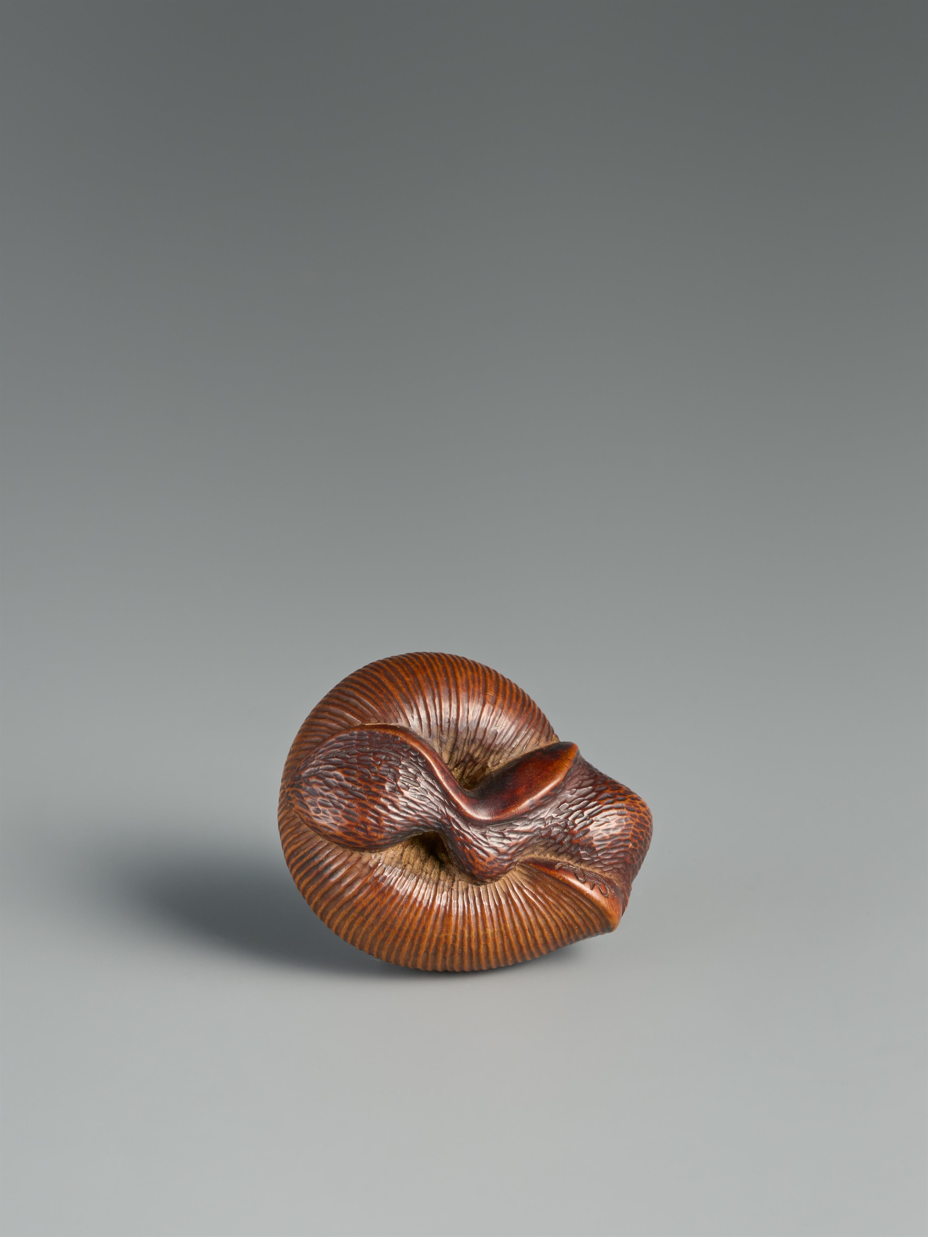 A good boxwood netsuke of a snail. Around 1800 - image-3